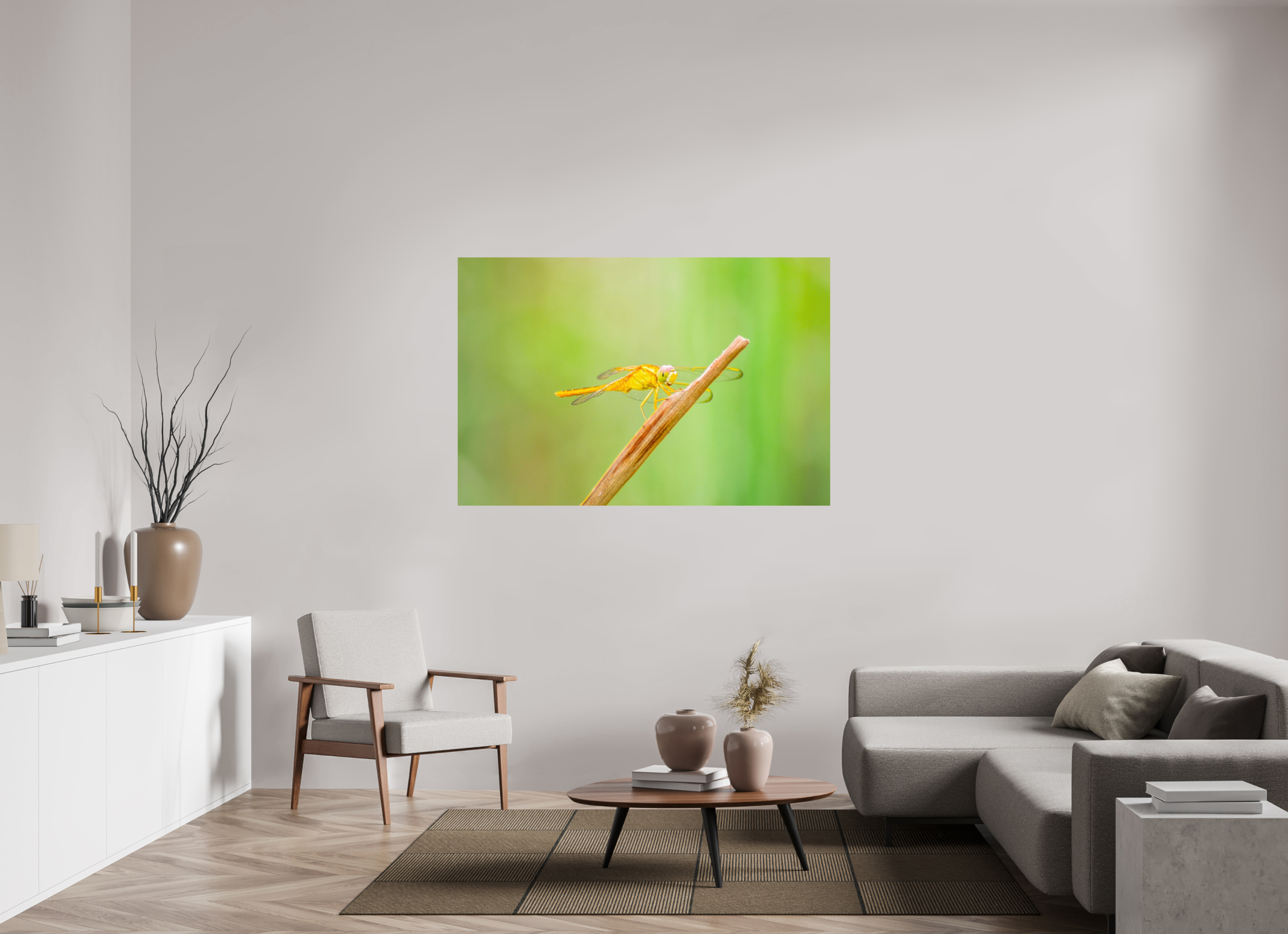60 x 40″, Photo Print On Fuji Crystal DP II Sun-Drenched Golden Scarlet Skimmer
