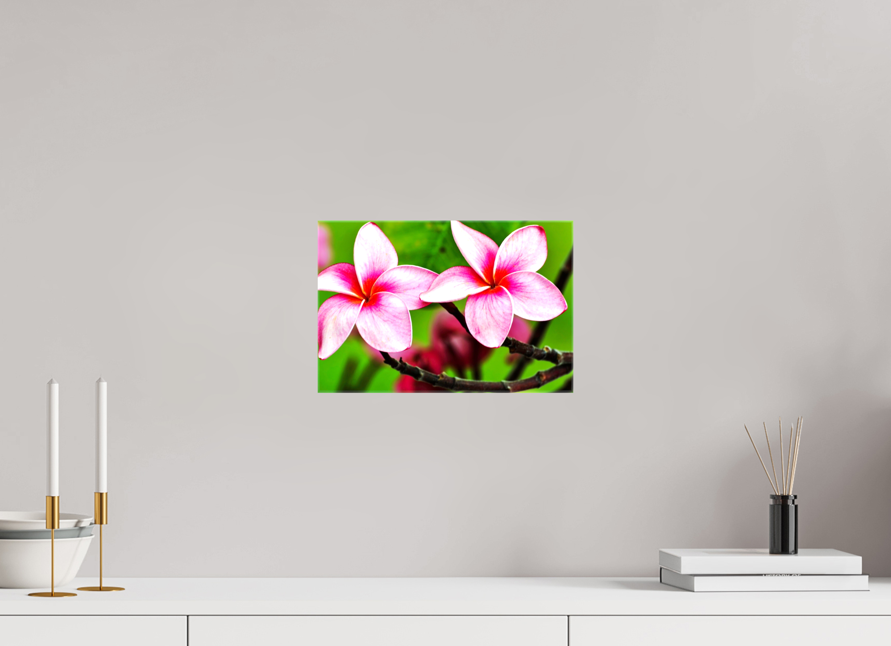 12 x 8″, Glossy Canvas on Stretcher Frame, 1,57" Wrapped Pink Plumeria Rubra (Frangipani)