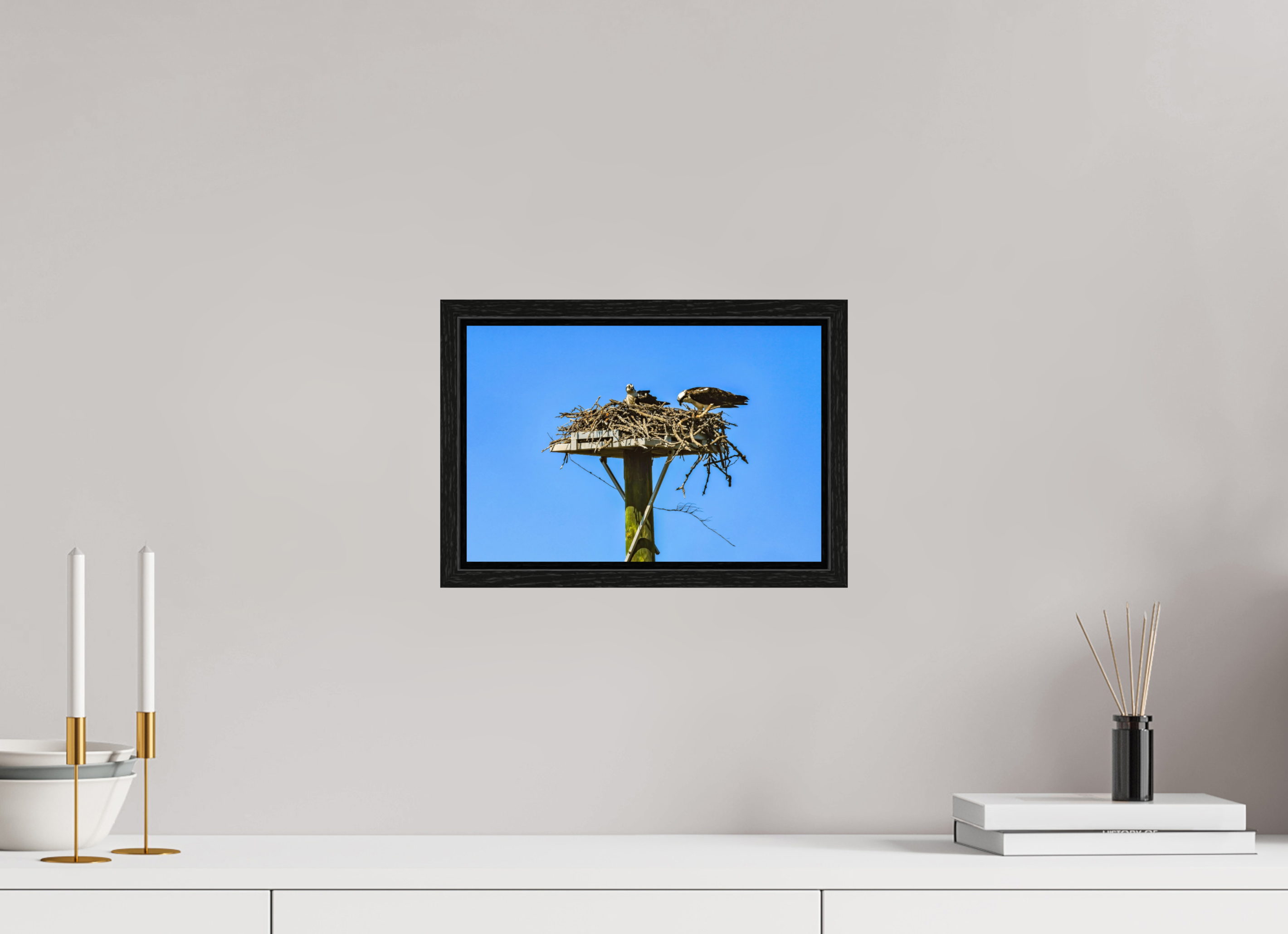 12 x 8″, Floater Frame, Basel 0.6", Black Oak, Glossy Acrylic Glass Osprey Outlook
