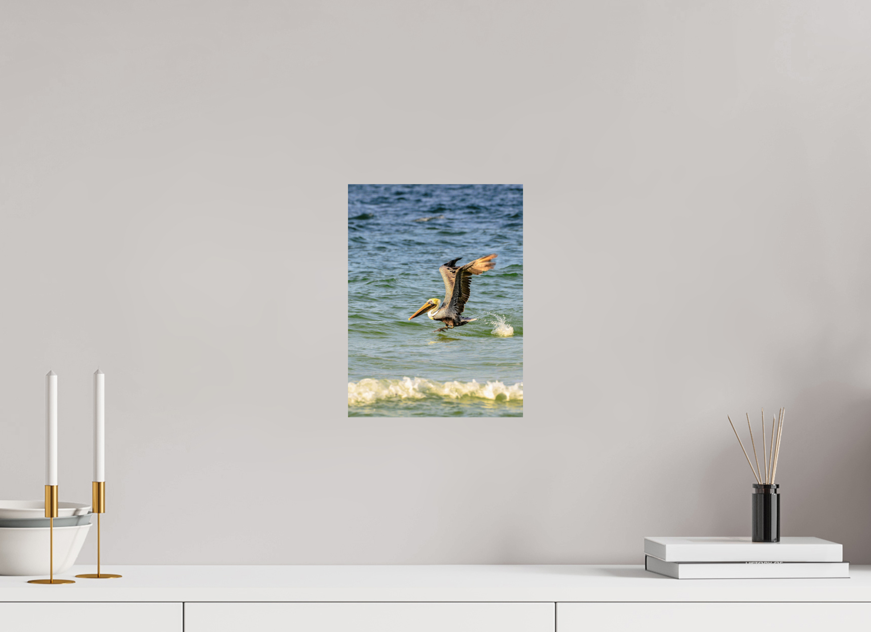 9 x 12″, Photo Print On Fuji Crystal DP II Pelican in Flight