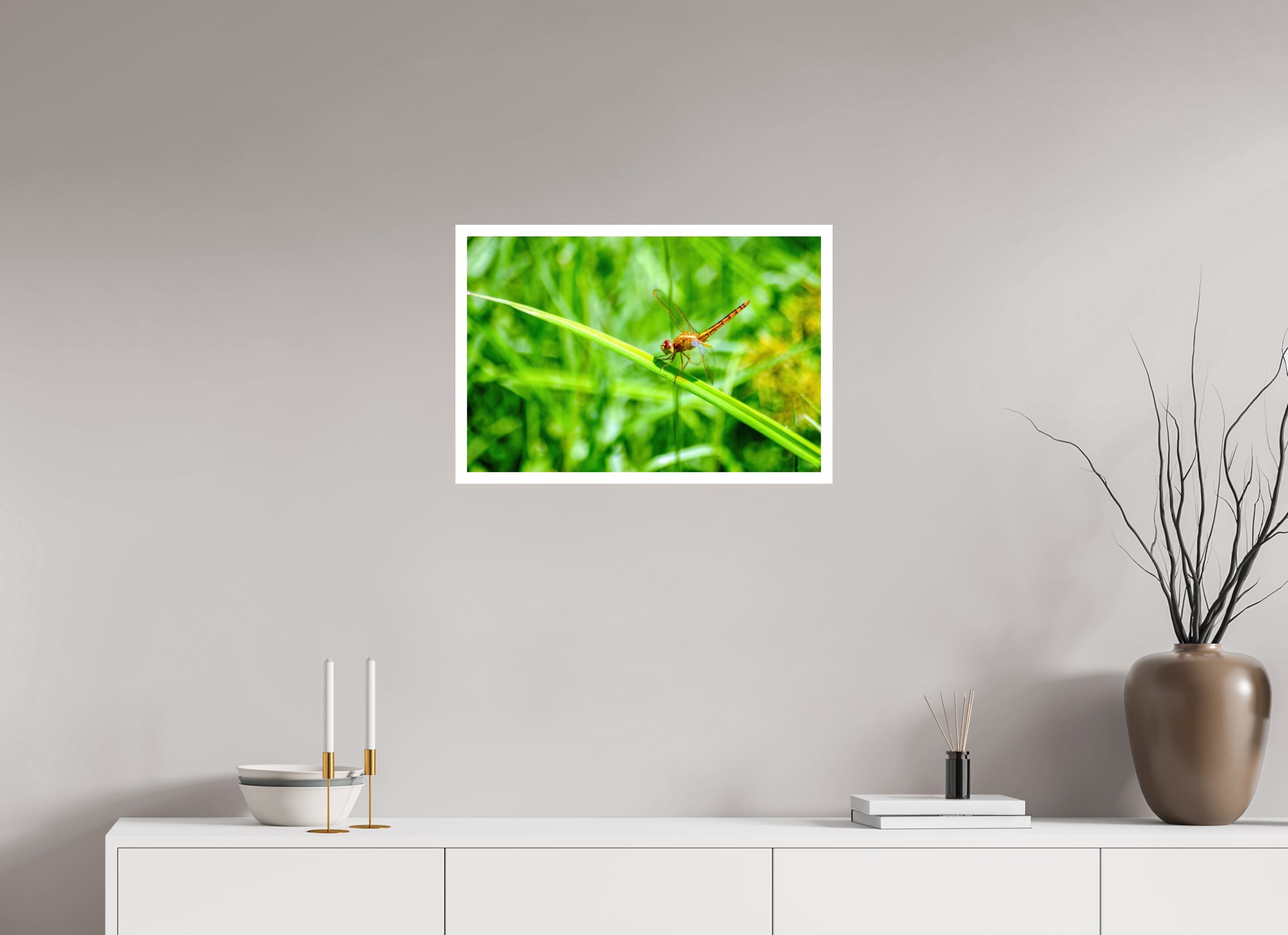 24 x 16″, Hahnemühle FineArt Pearl Print, .79" white border Female Scarlet Skimmer