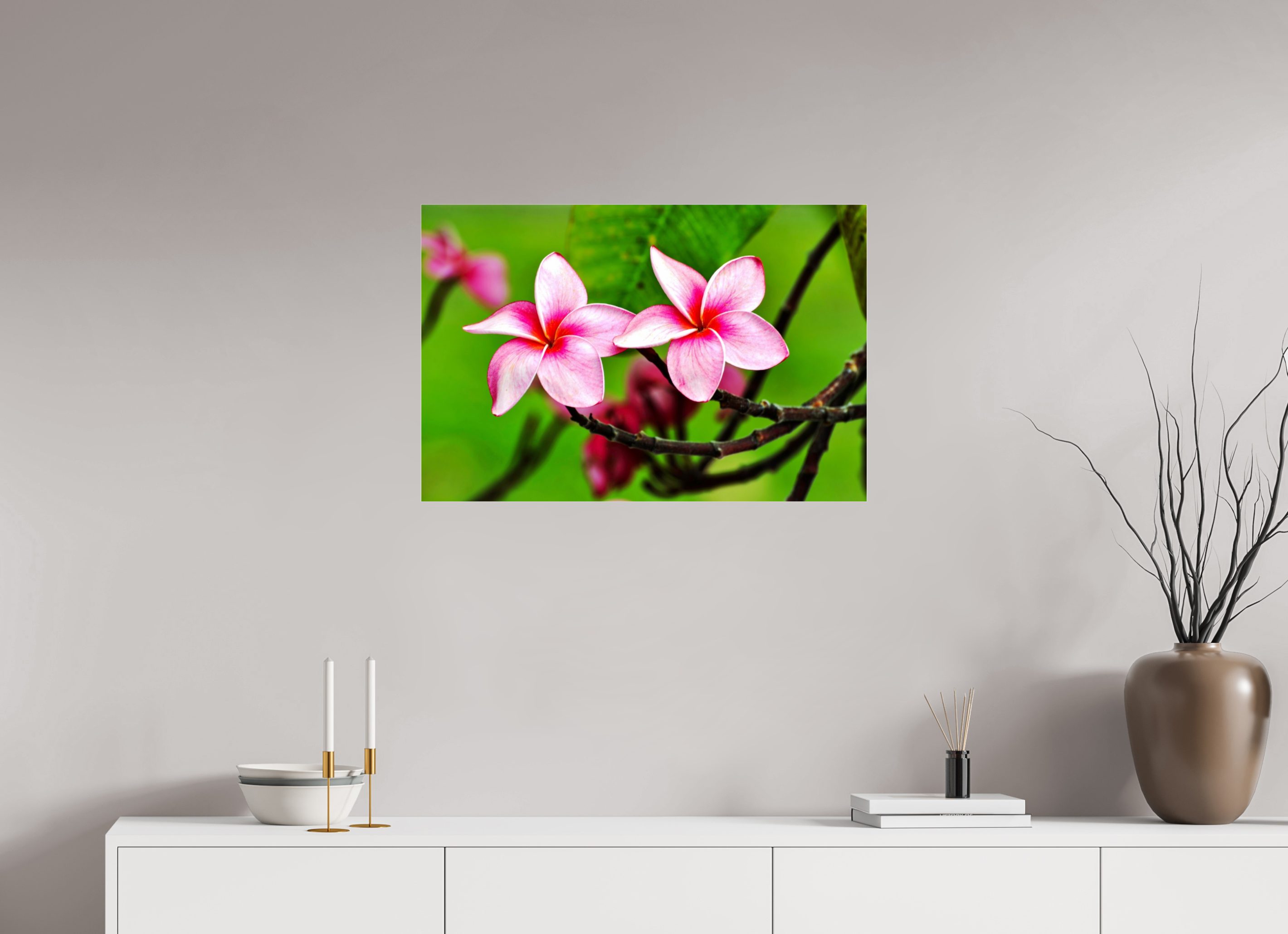 30 x 20″, Photo Print Fuji Crystal Archive Under Acrylic Glass Pink Plumeria Rubra (Frangipani)