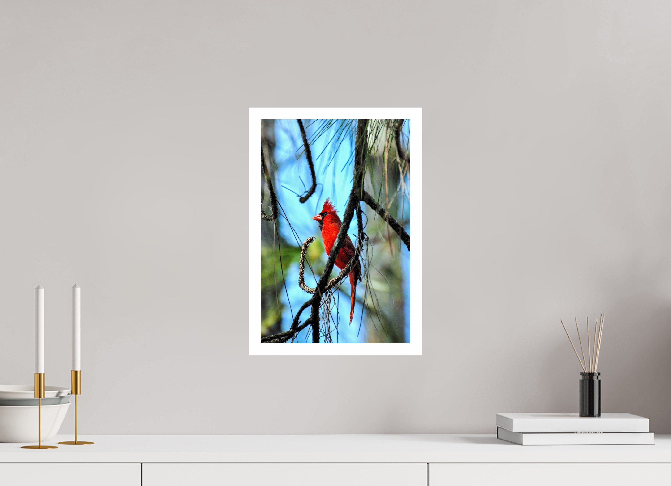 10 x 15″, Hahnemühle FineArt Pearl Print, .79" white border The Corkscrew Cardinal