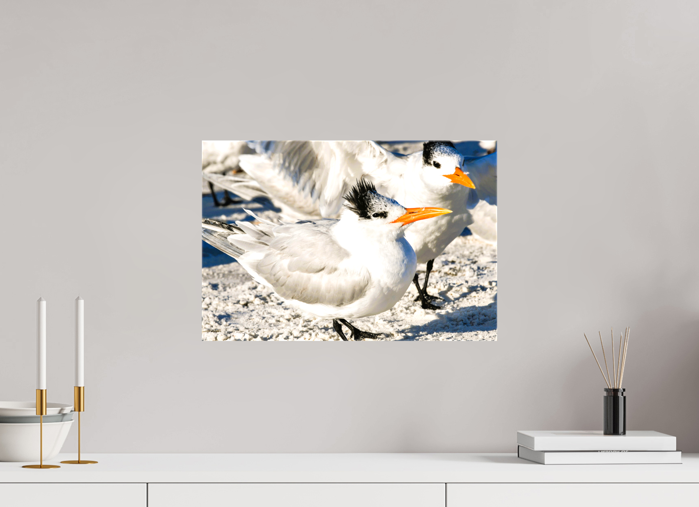 17.8 x 12″, Glossy Canvas on Stretcher Frame, 1,57" Wrapped Coastal Royalty