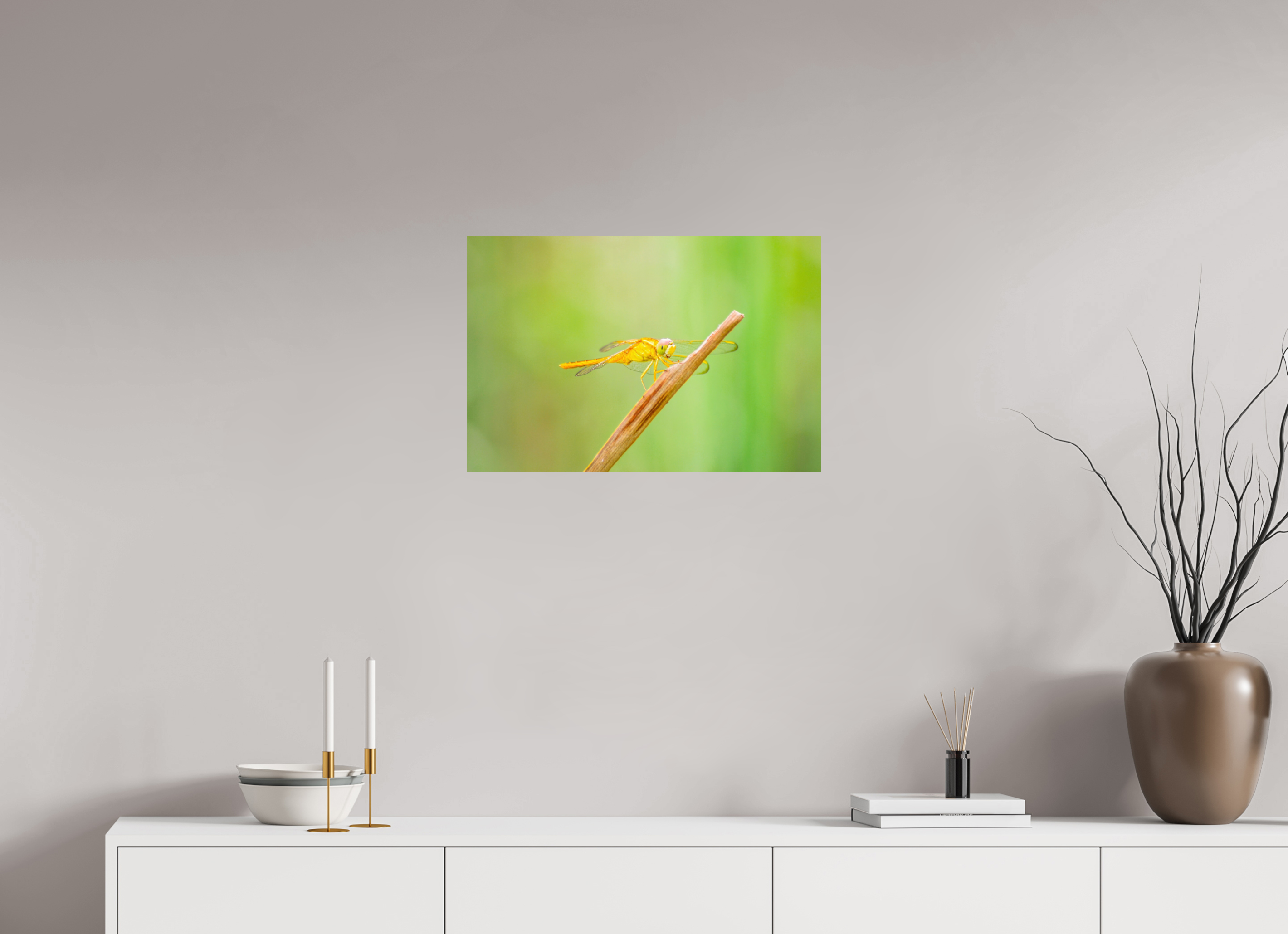 24 x 16″, Photo Print On Fuji Crystal DP II Sun-Drenched Golden Scarlet Skimmer