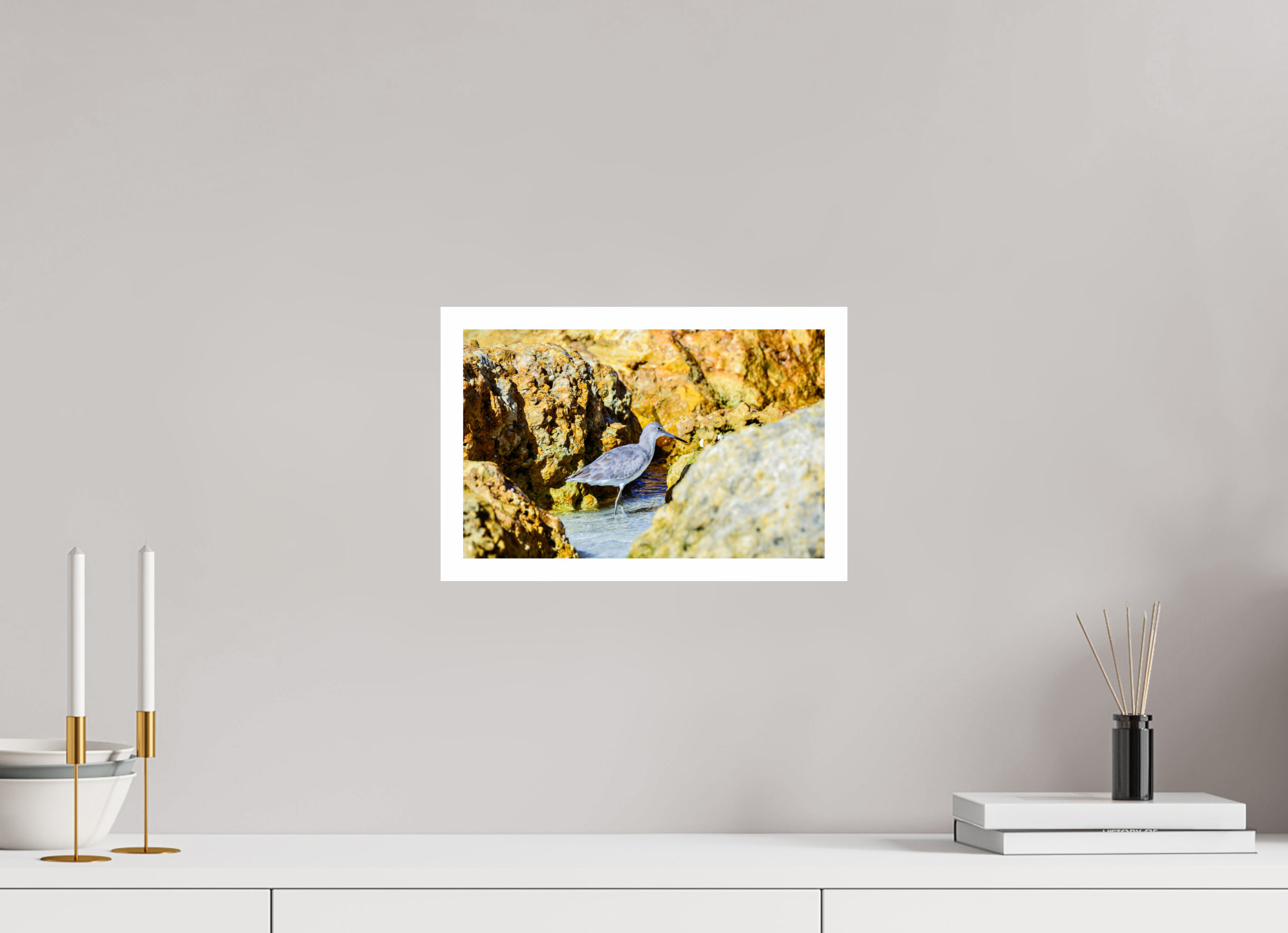 12.6 x 8″, Hahnemühle FineArt Pearl Print, .79" white border The Hiding Willet