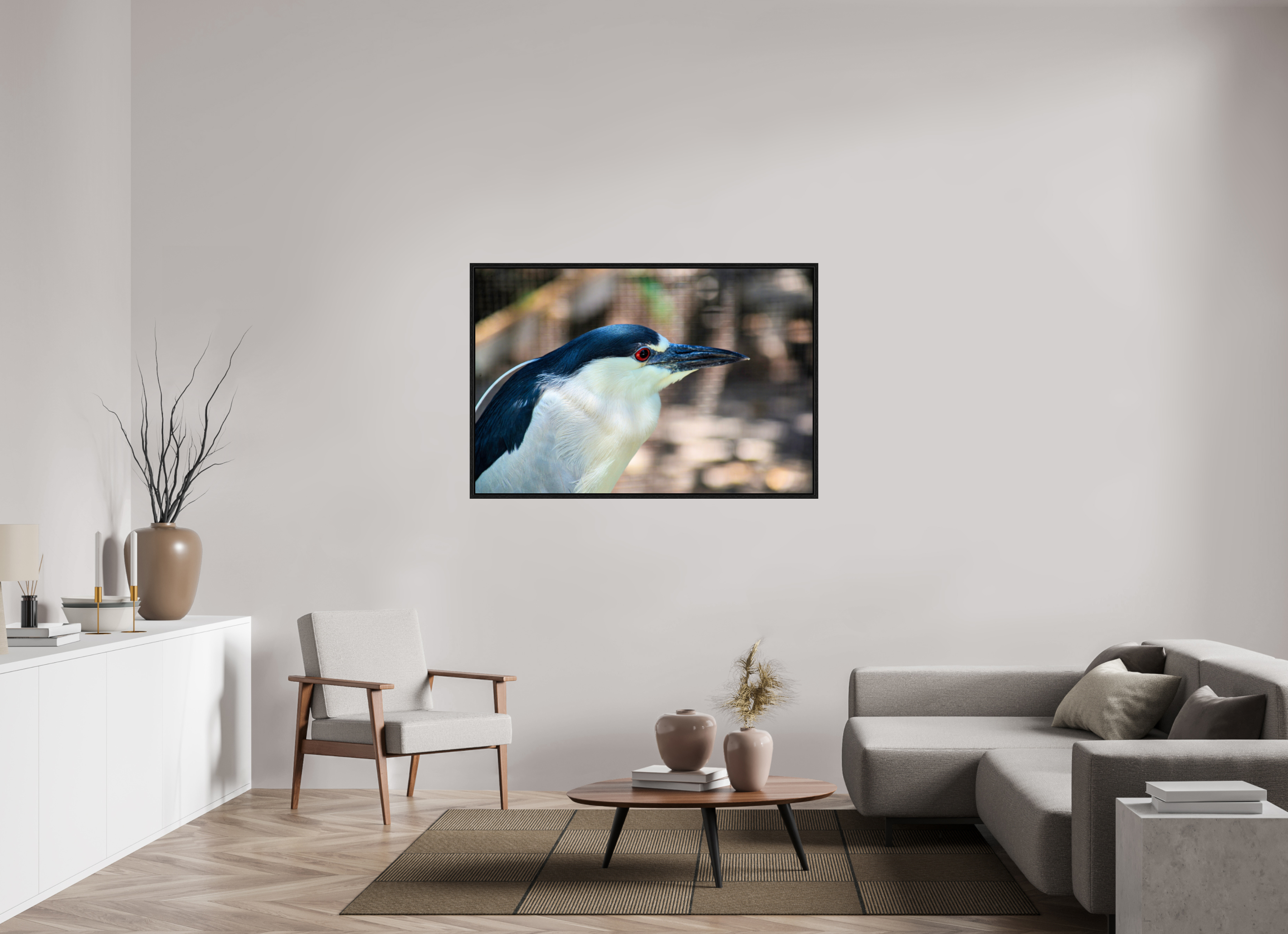 54 x 36″, Floater Frame, Basel 0.6", Black Oak, Glossy Acrylic Glass Black-crowned Night Heron