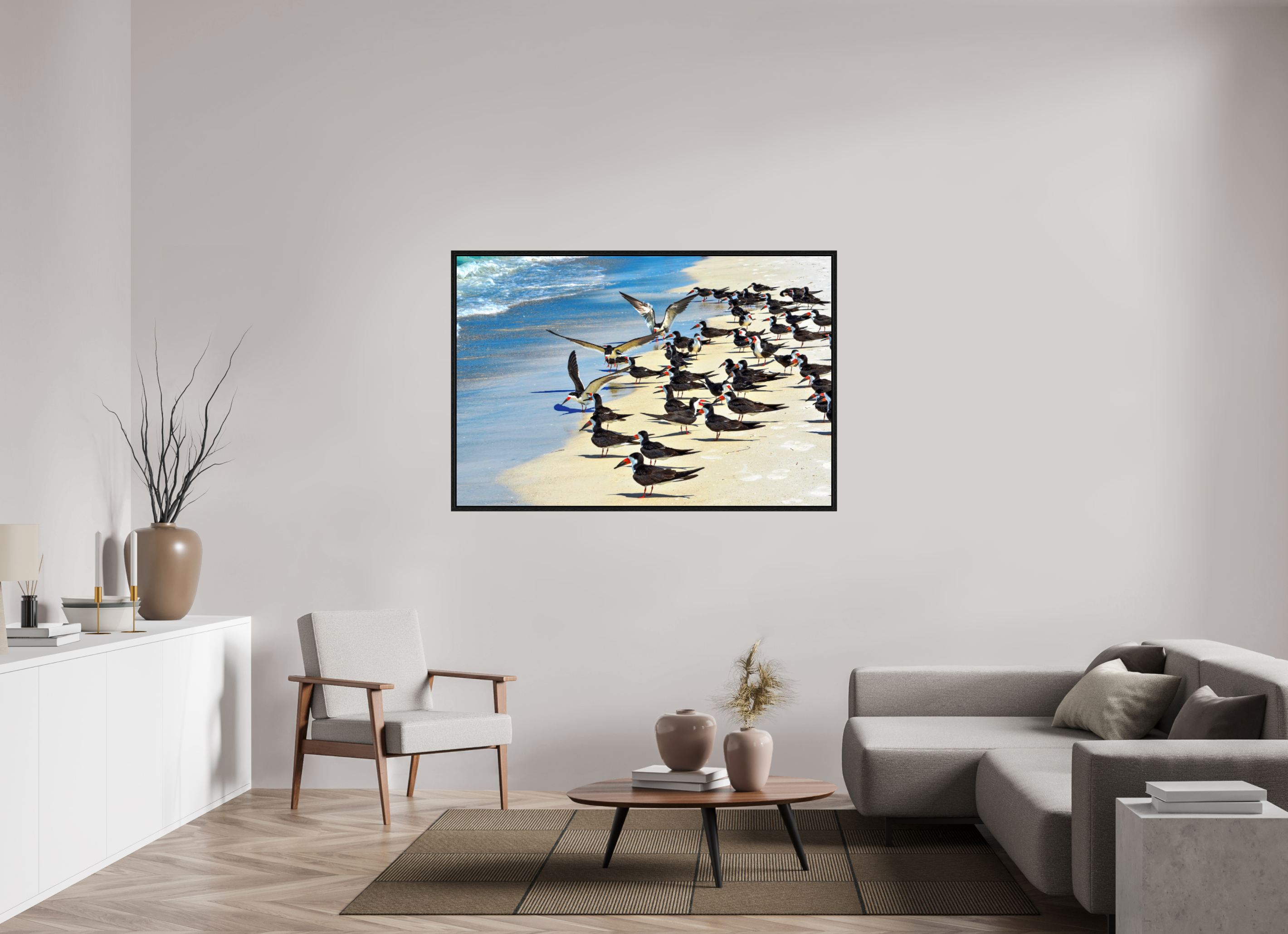 60 x 40″, Floater Frame, Basel 0.6", Black Oak, Glossy Acrylic Glass Shoreline Social: Black Skimmer Colony
