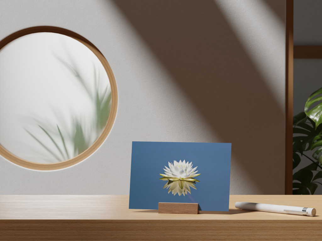 894ee5ea-62e3-4f1e-af8e-2d962aecf3f5