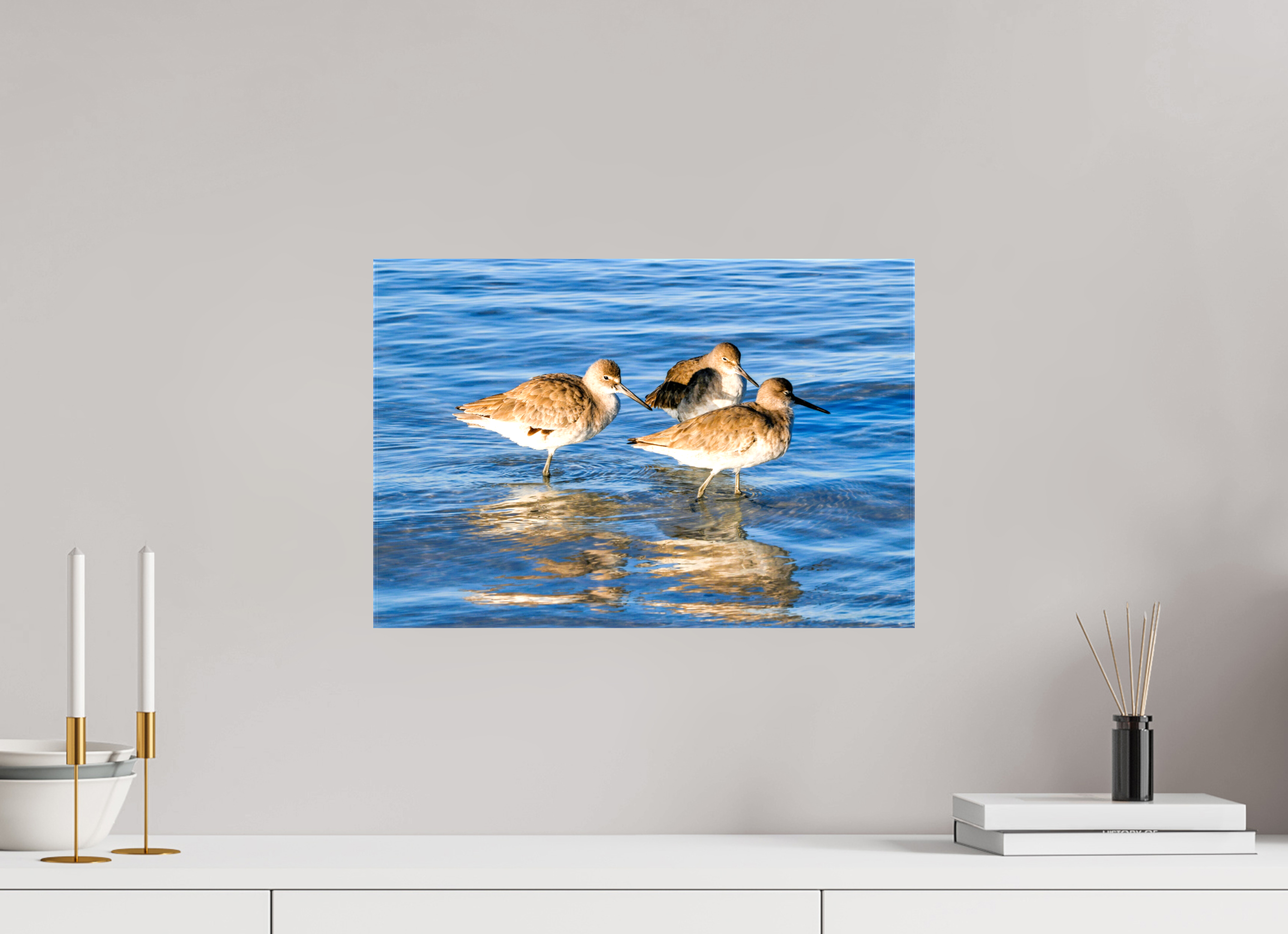 17.8 x 12″, Glossy Canvas on Stretcher Frame, 1,57" Wrapped The Shoreline Trio: Willets in the Surf