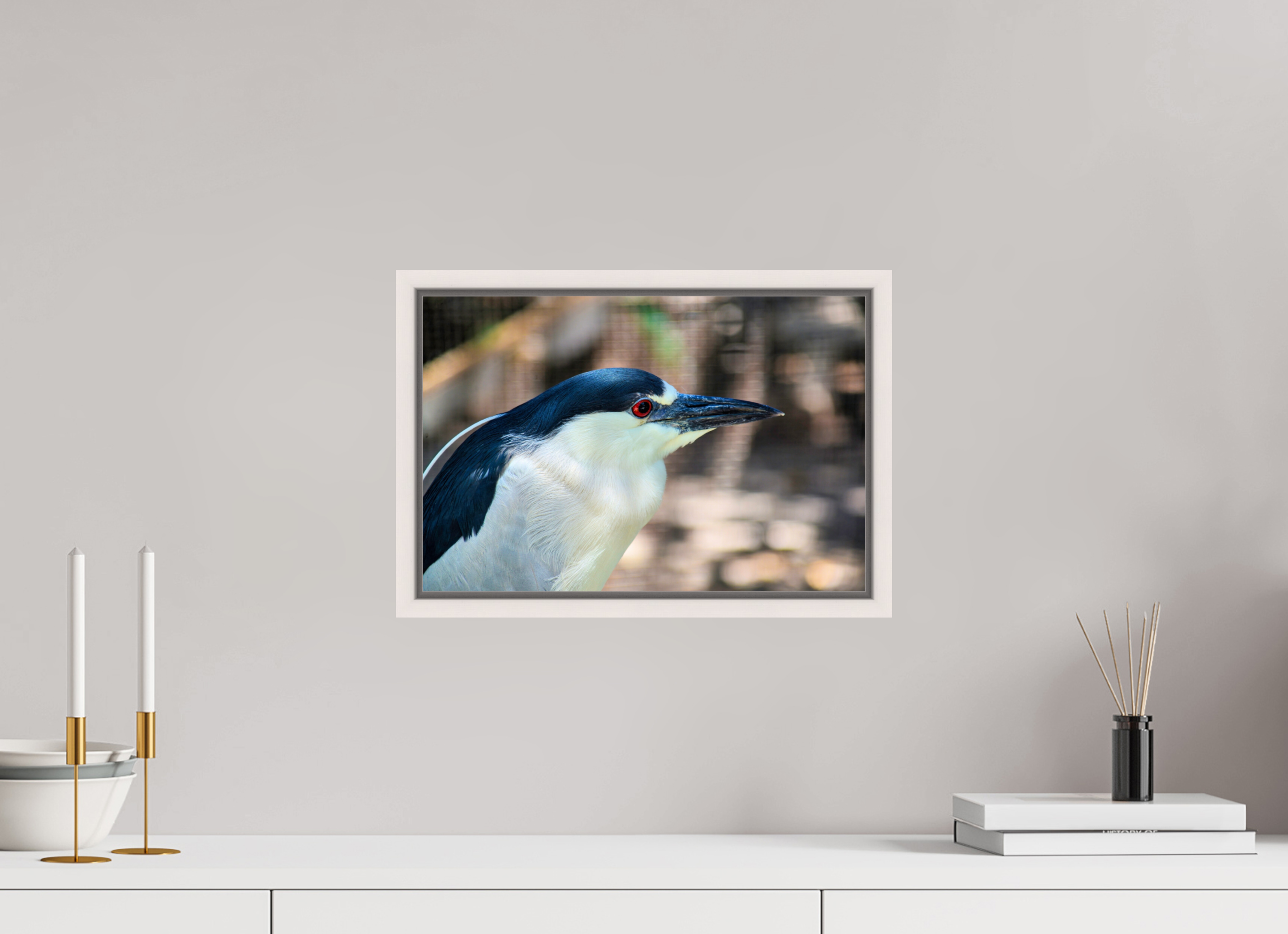 15 x 10″, Floater Frame, Basel 0.6", Maple White, Glossy Acrylic Glass Black-crowned Night Heron