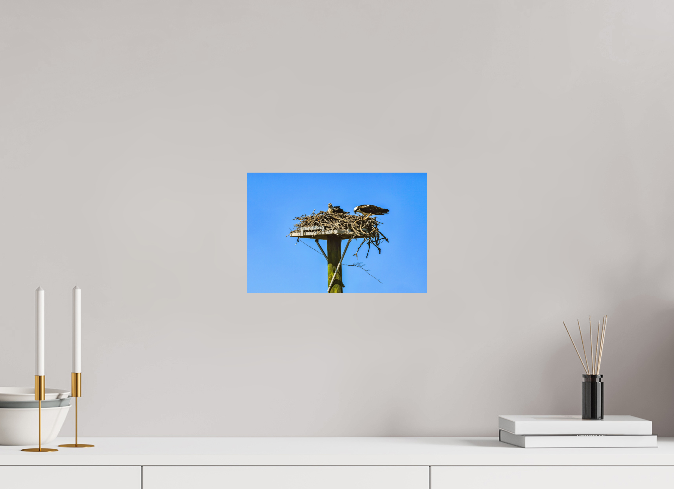 12 x 8″, Photo Print On Fuji Crystal DP II Osprey Outlook