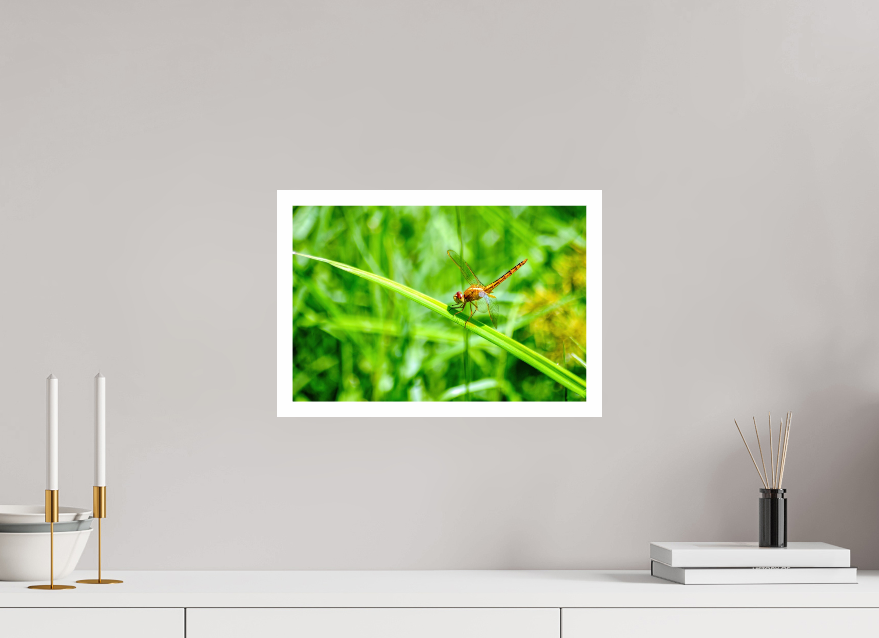 15 x 10″, Hahnemühle FineArt Pearl Print, .79" white border Female Scarlet Skimmer