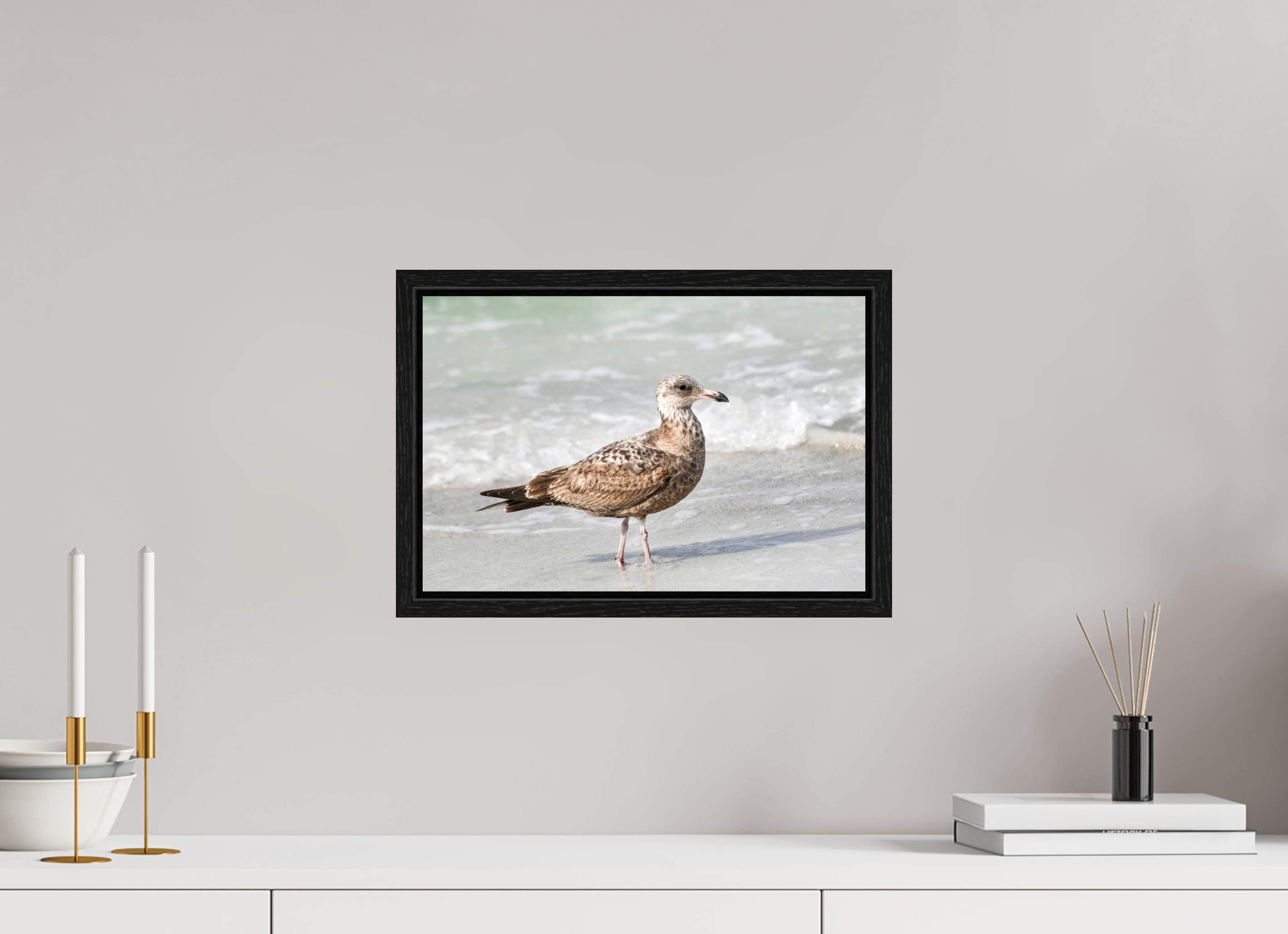 15 x 10″, Floater Frame, Basel 0.6", Black Oak, Glossy Acrylic Glass The Young Explorer: Immature American Herring Gull