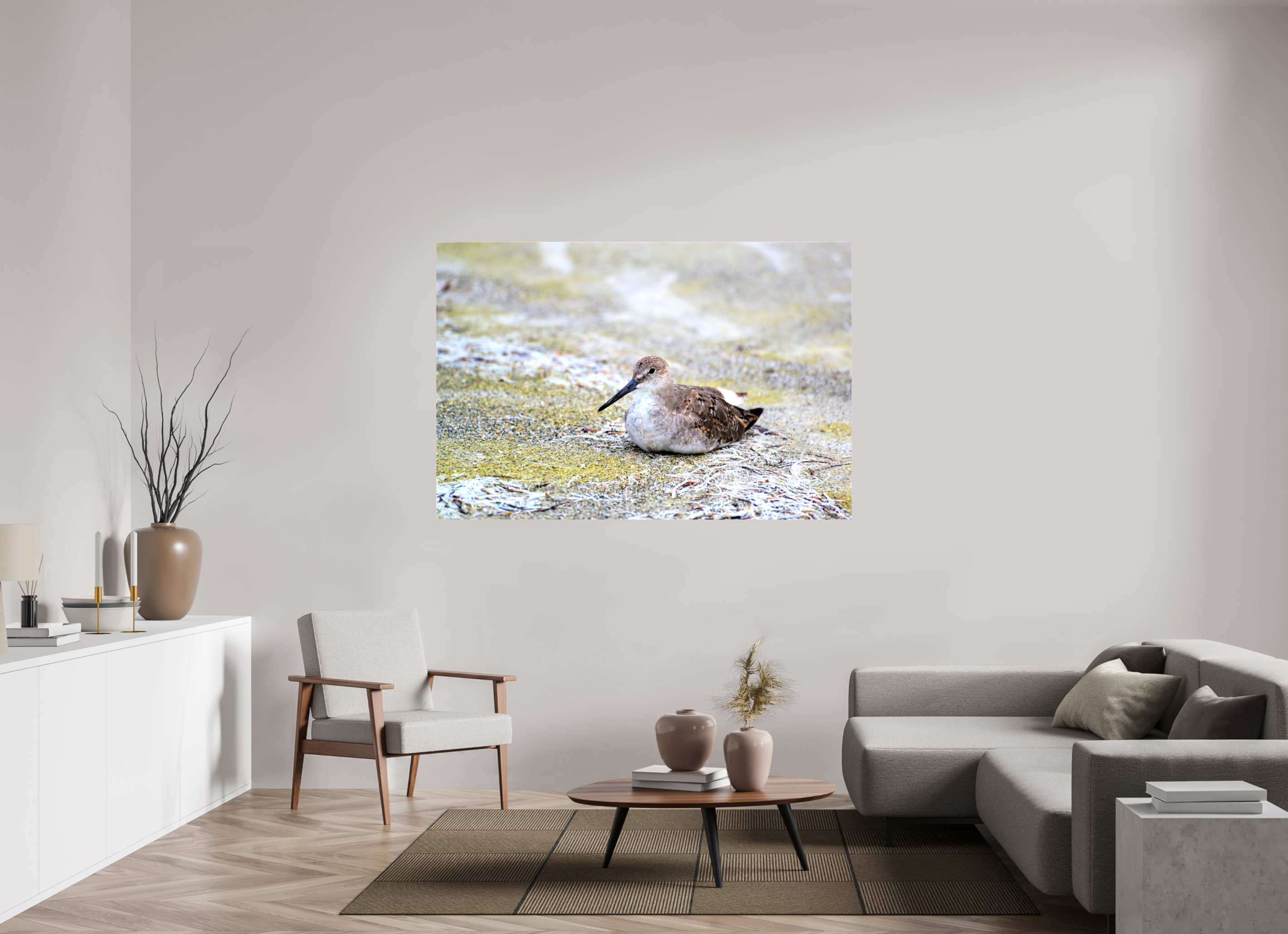 66 x 44″, Glossy Canvas on Stretcher Frame, 1,57" Wrapped The Resting Willet