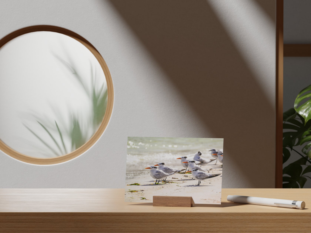 8b598b4e-8d8b-450e-8abe-ad6baad4a0d6