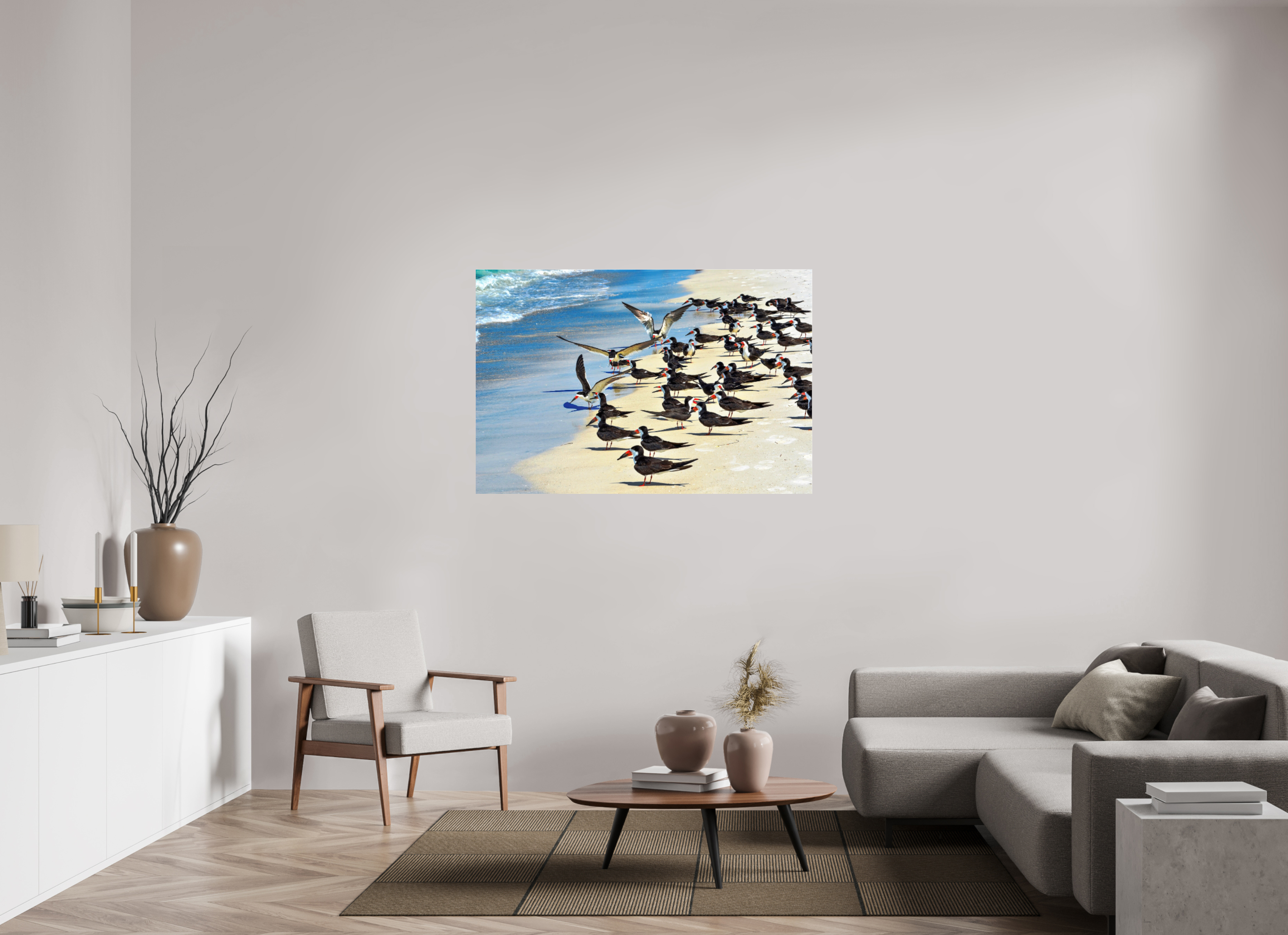 54 x 36″, Metallic Photo Print Under Acrylic Glass Shoreline Social: Black Skimmer Colony