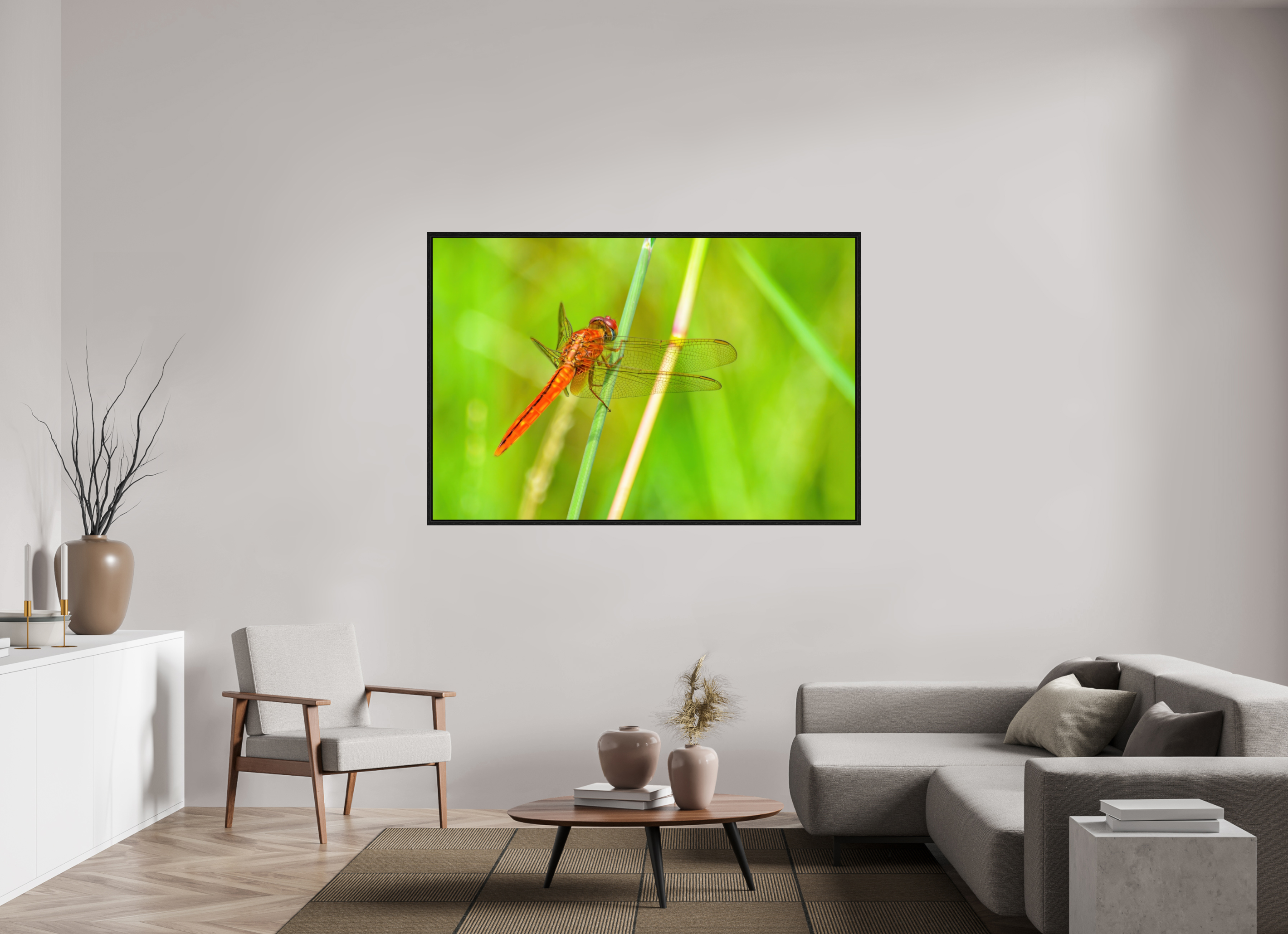 66 x 44″, Floater Frame, Basel 0.6", Black Oak, Glossy Acrylic Glass Resting Scarlet Skimmer