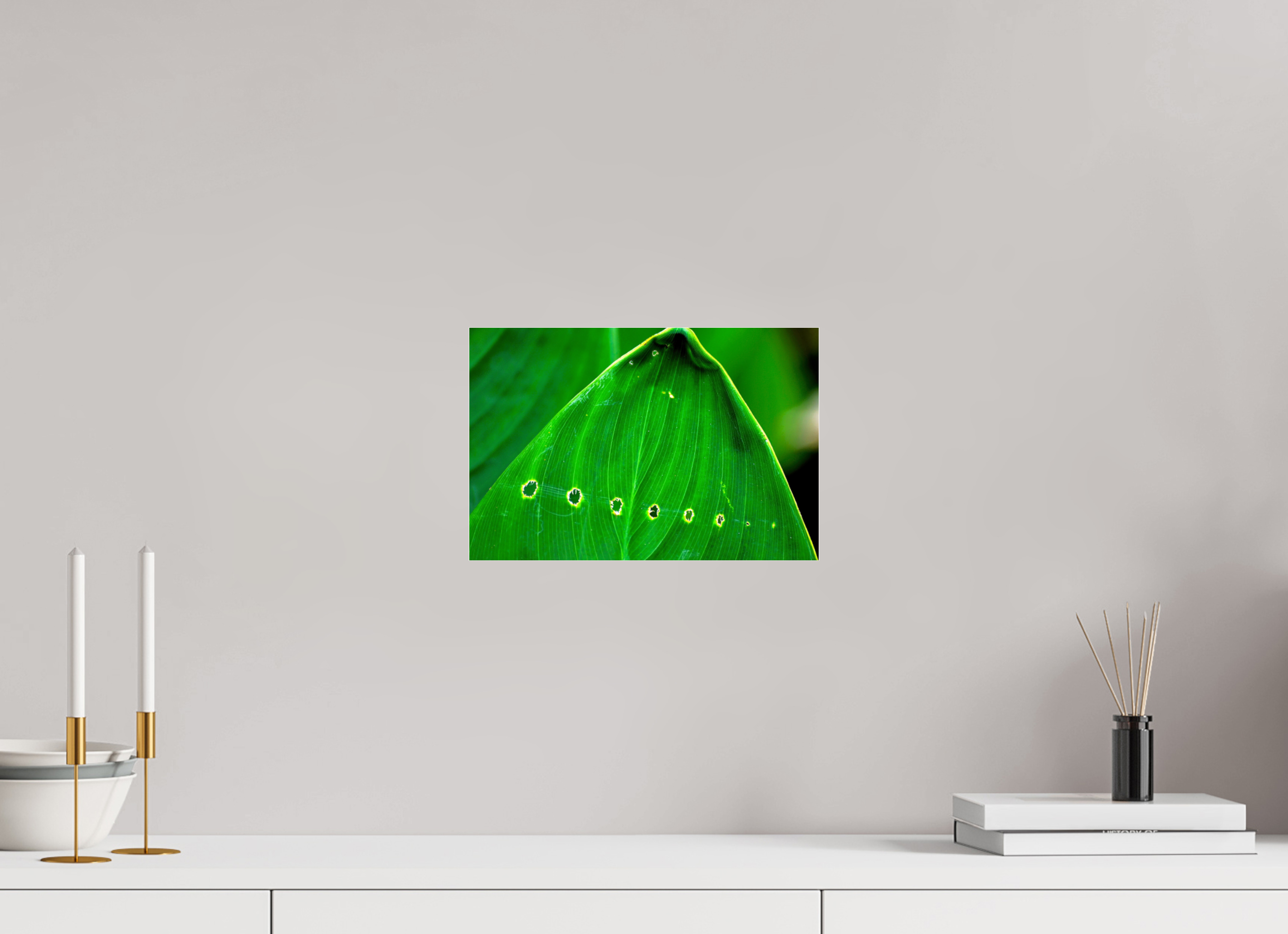 12 x 8″, Photo Print Fuji Crystal Archive Under Acrylic Glass Linear Progression in Green