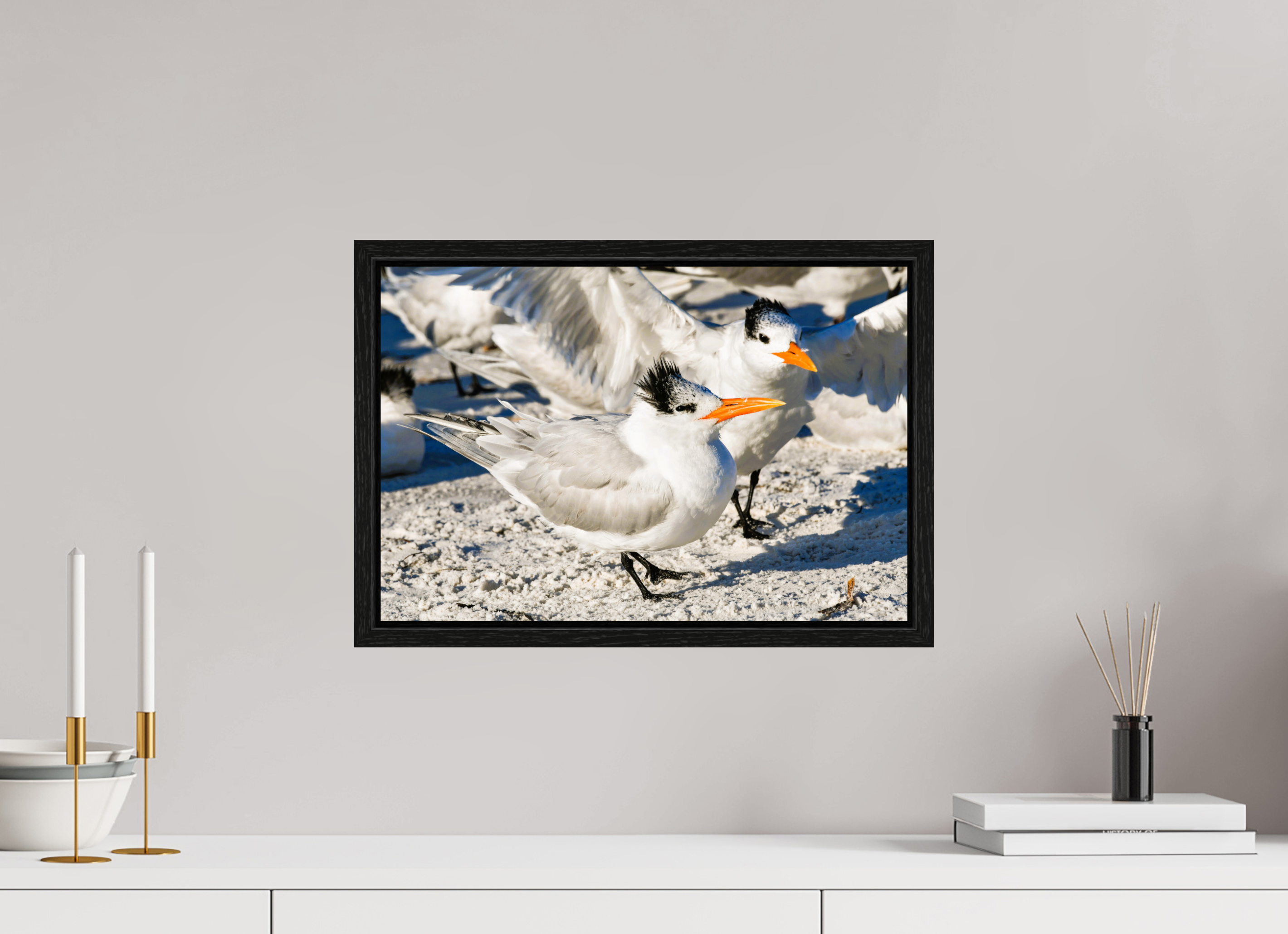 17.8 x 12″, Floater Frame, Basel 0.6", Black Oak, Glossy Acrylic Glass Coastal Royalty