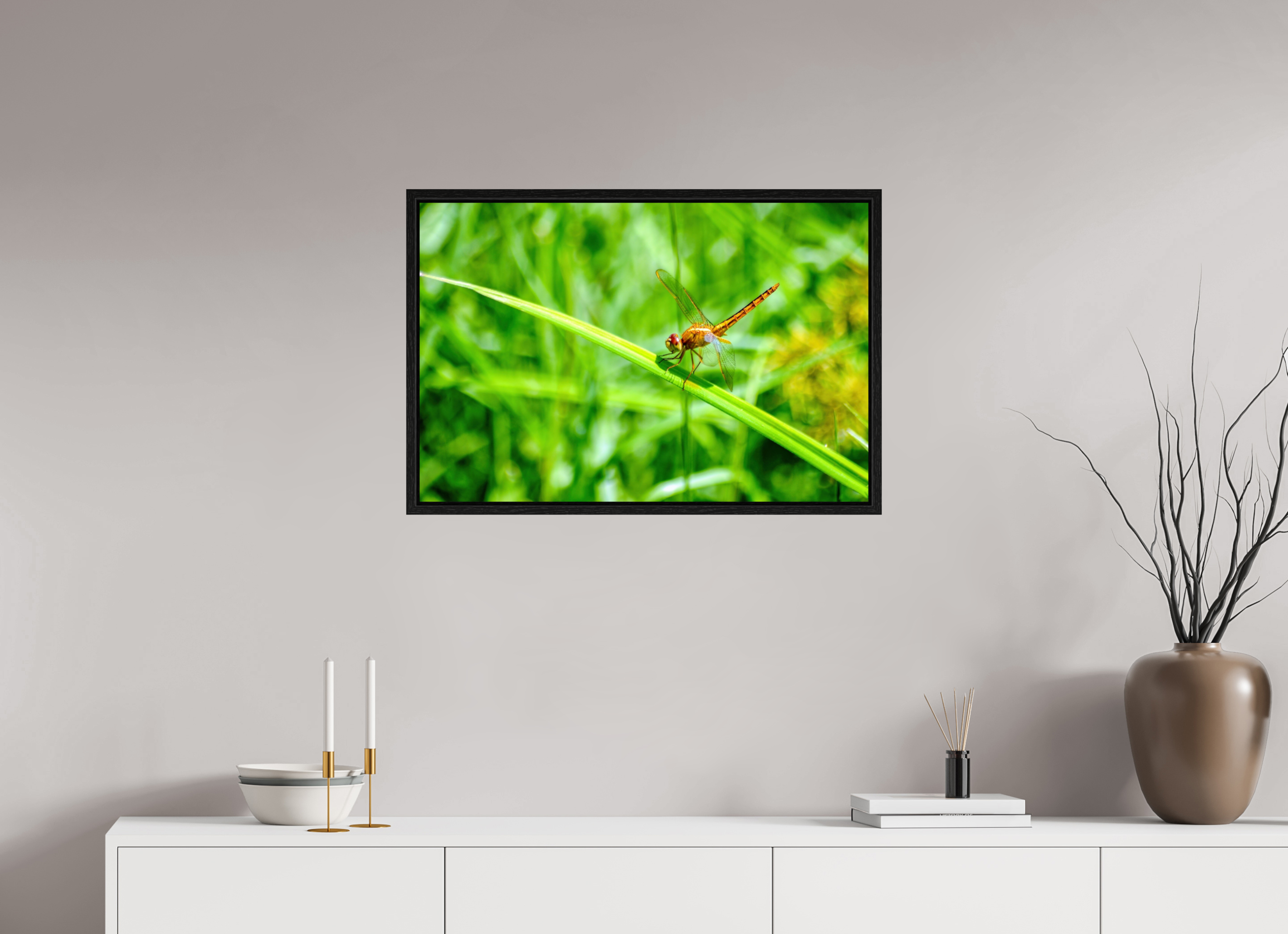 30 x 20″, Floater Frame, Basel 0.6", Black Oak, Glossy Acrylic Glass Female Scarlet Skimmer