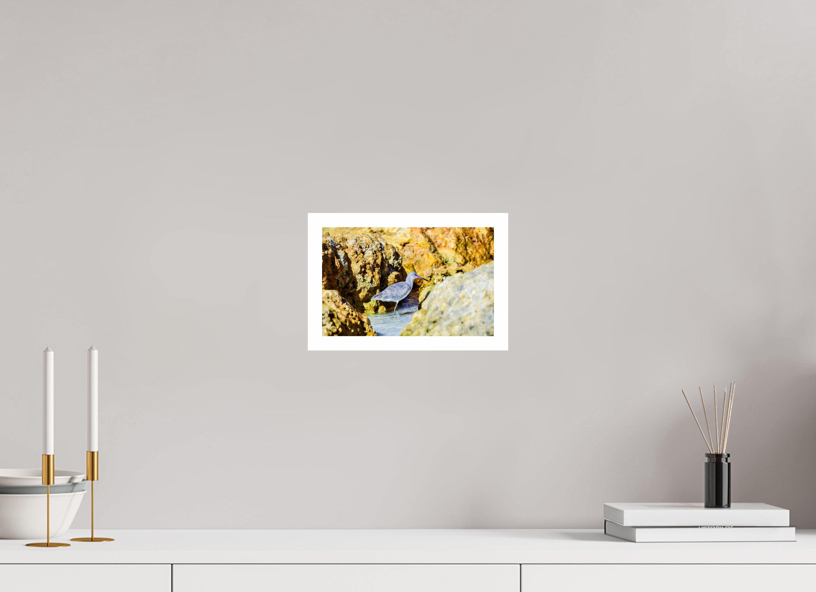 9.4 x 6″, Hahnemühle FineArt Pearl Print, .79" white border The Hiding Willet