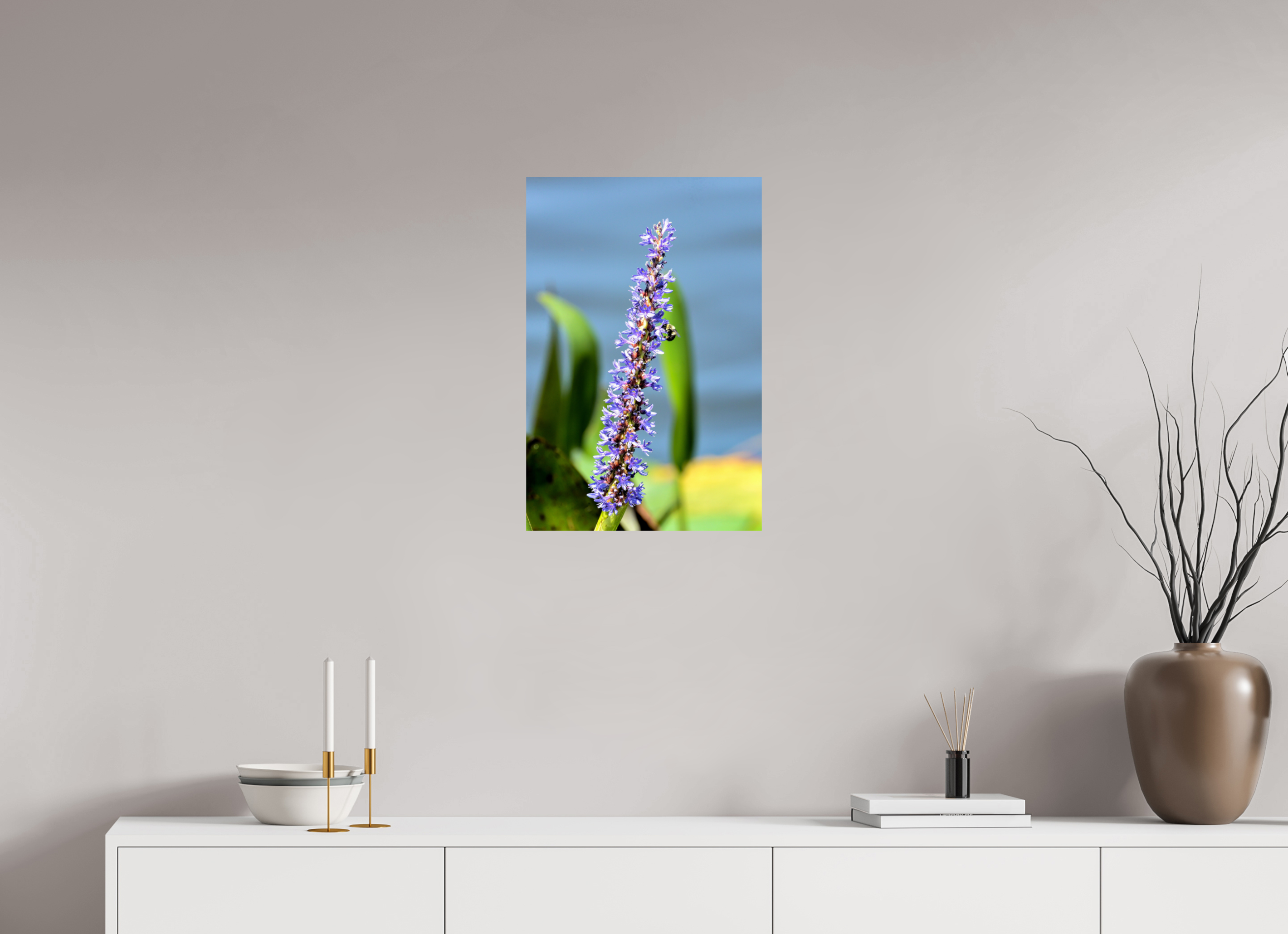 16 x 24″, Photo Print On Fuji Crystal DP II Bloom & Buzz