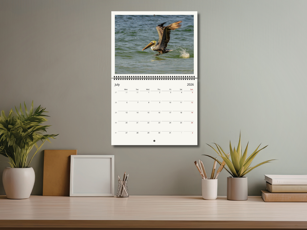 8e3413d9-0baa-42c9-b843-0054b2e211ae