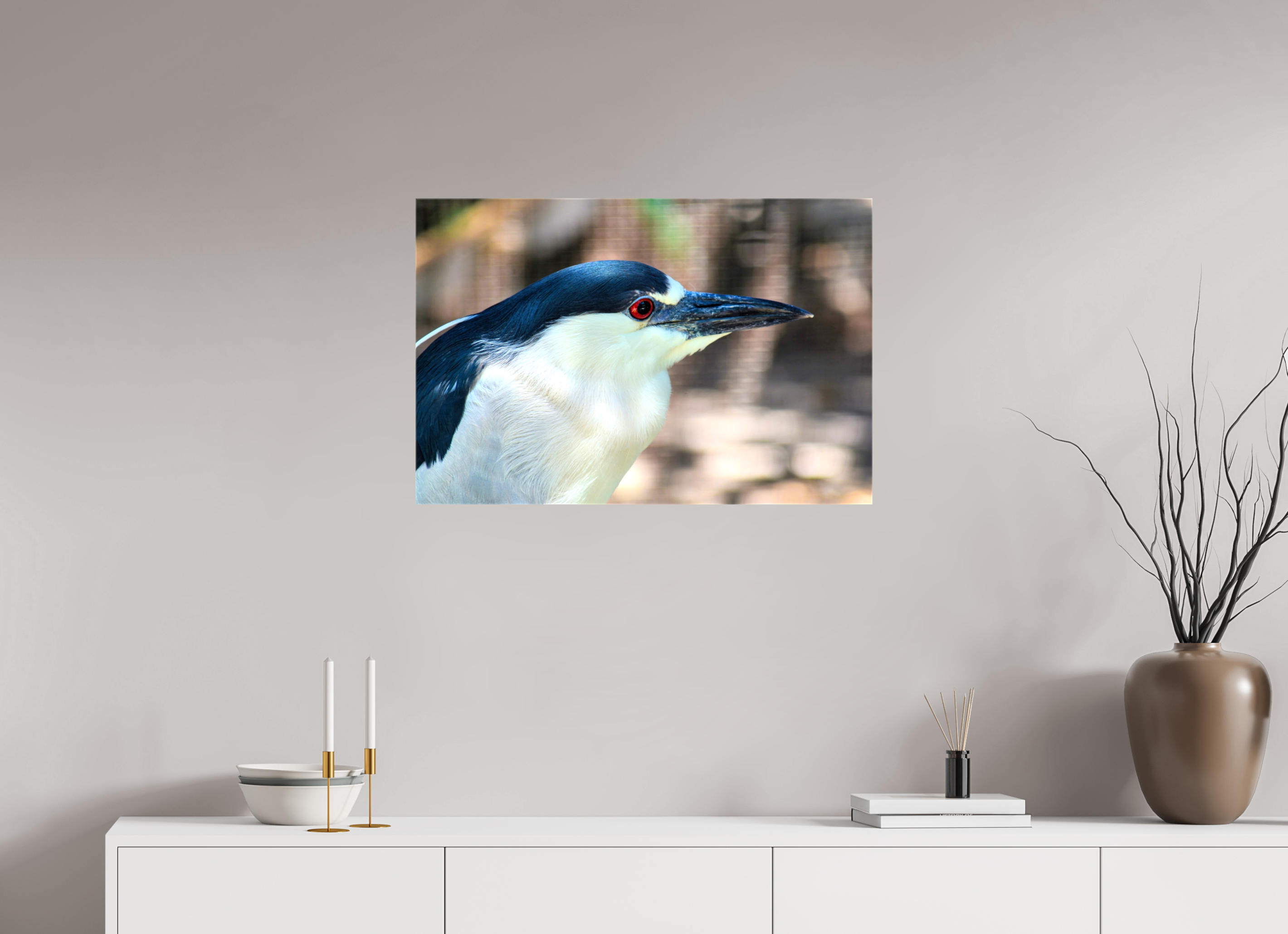 30 x 20″, Glossy Canvas on Stretcher Frame, 1,57" Wrapped Black-crowned Night Heron
