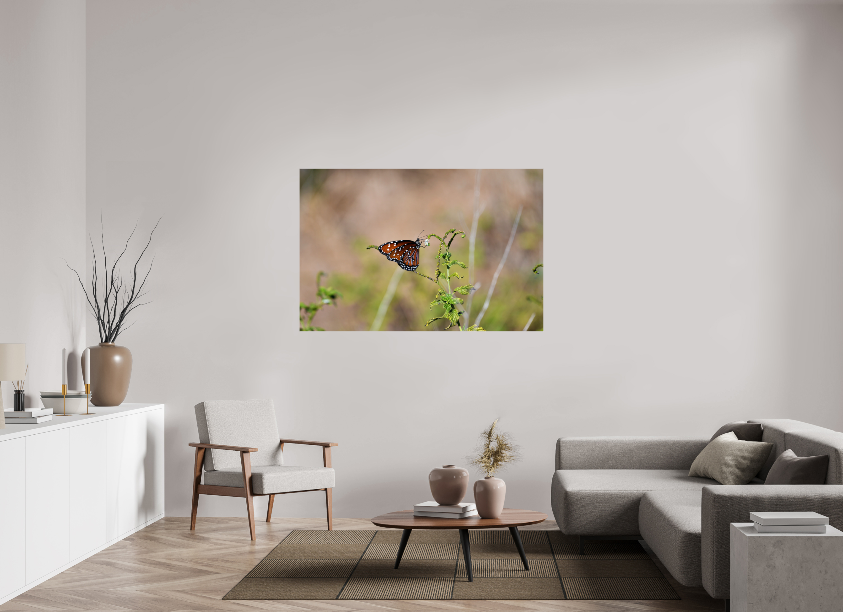 60 x 40″, Photo Print On Fuji Crystal DP II Queen Butterfly