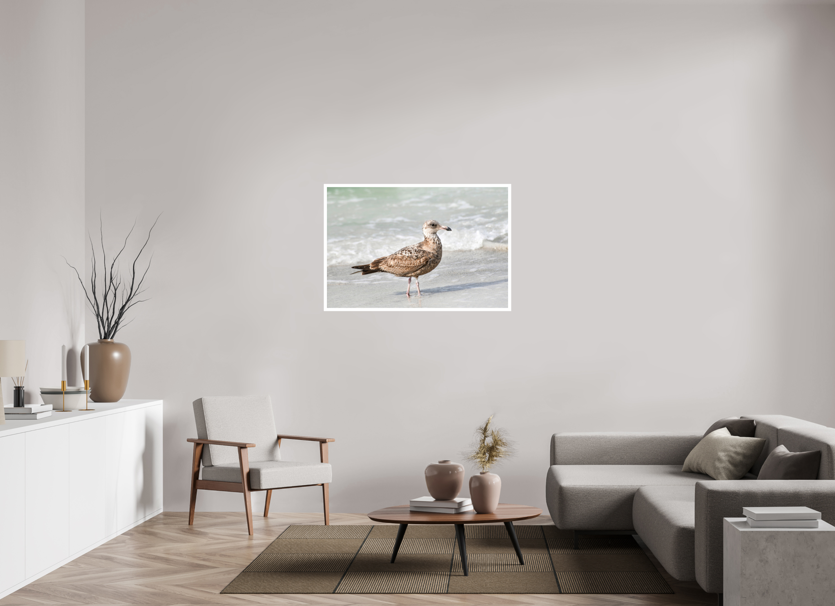 45 x 30″, Hahnemühle FineArt Pearl Print, .79" white border The Young Explorer: Immature American Herring Gull