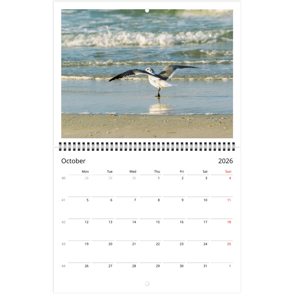 8fa11e03-a30d-467a-b834-4f032fa2cbc4