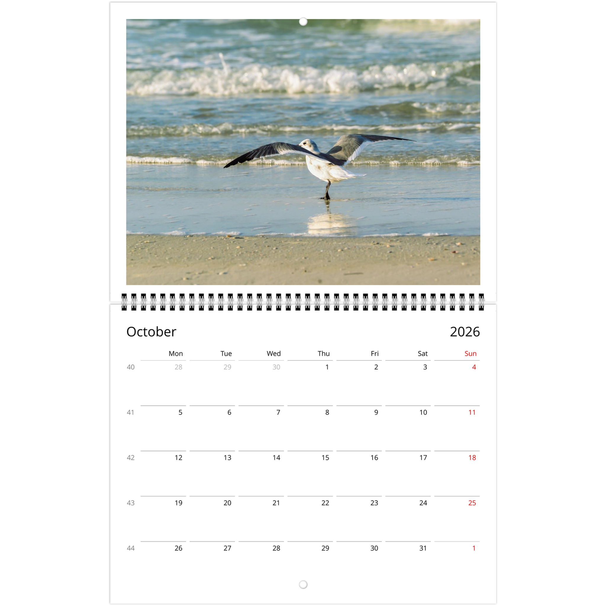 8fa11e03-a30d-467a-b834-4f032fa2cbc4