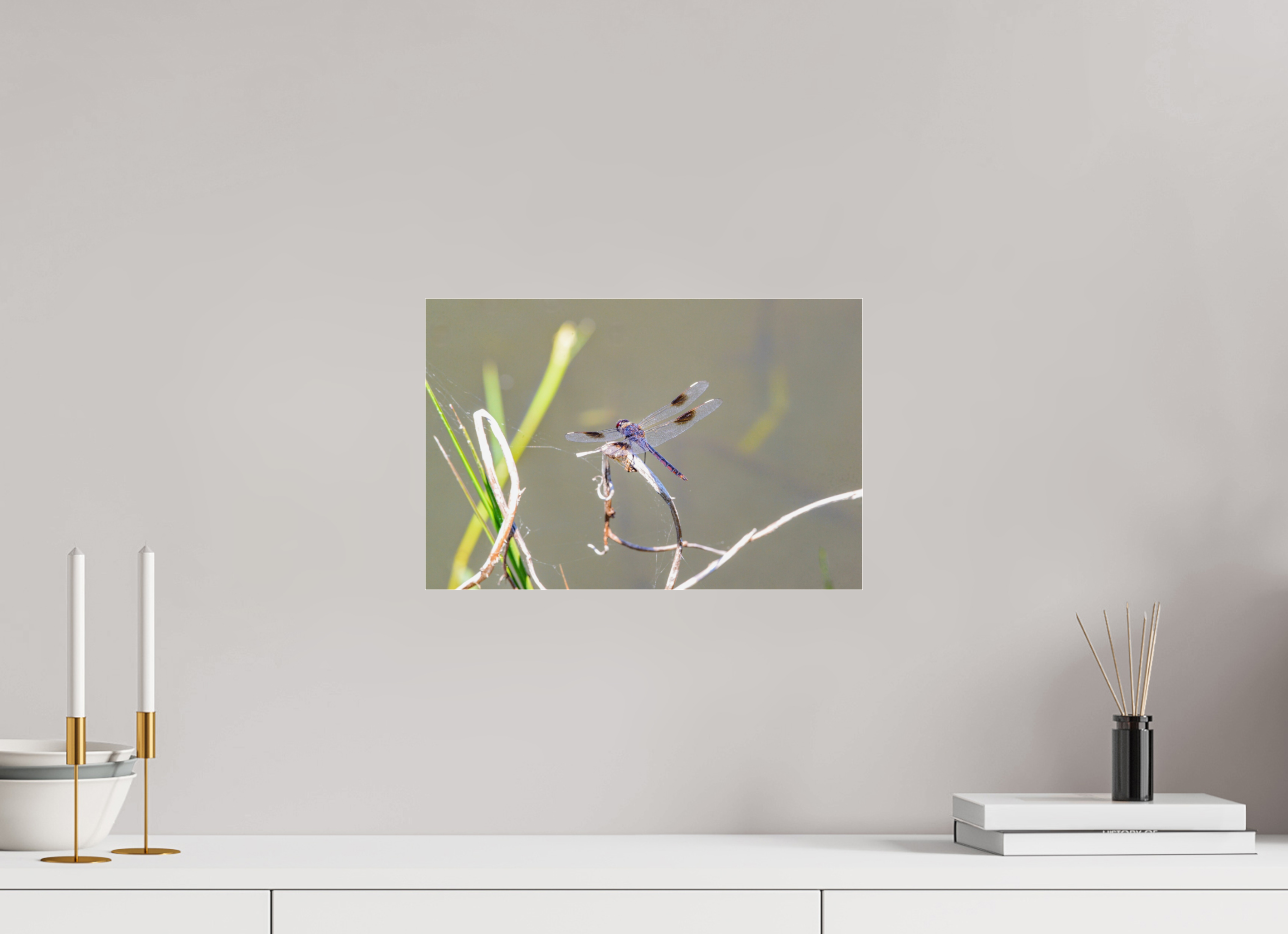 15 x 10″, Photo Print Fuji Crystal Archive Under Acrylic Glass Pennant Dragonfly in the Marsh