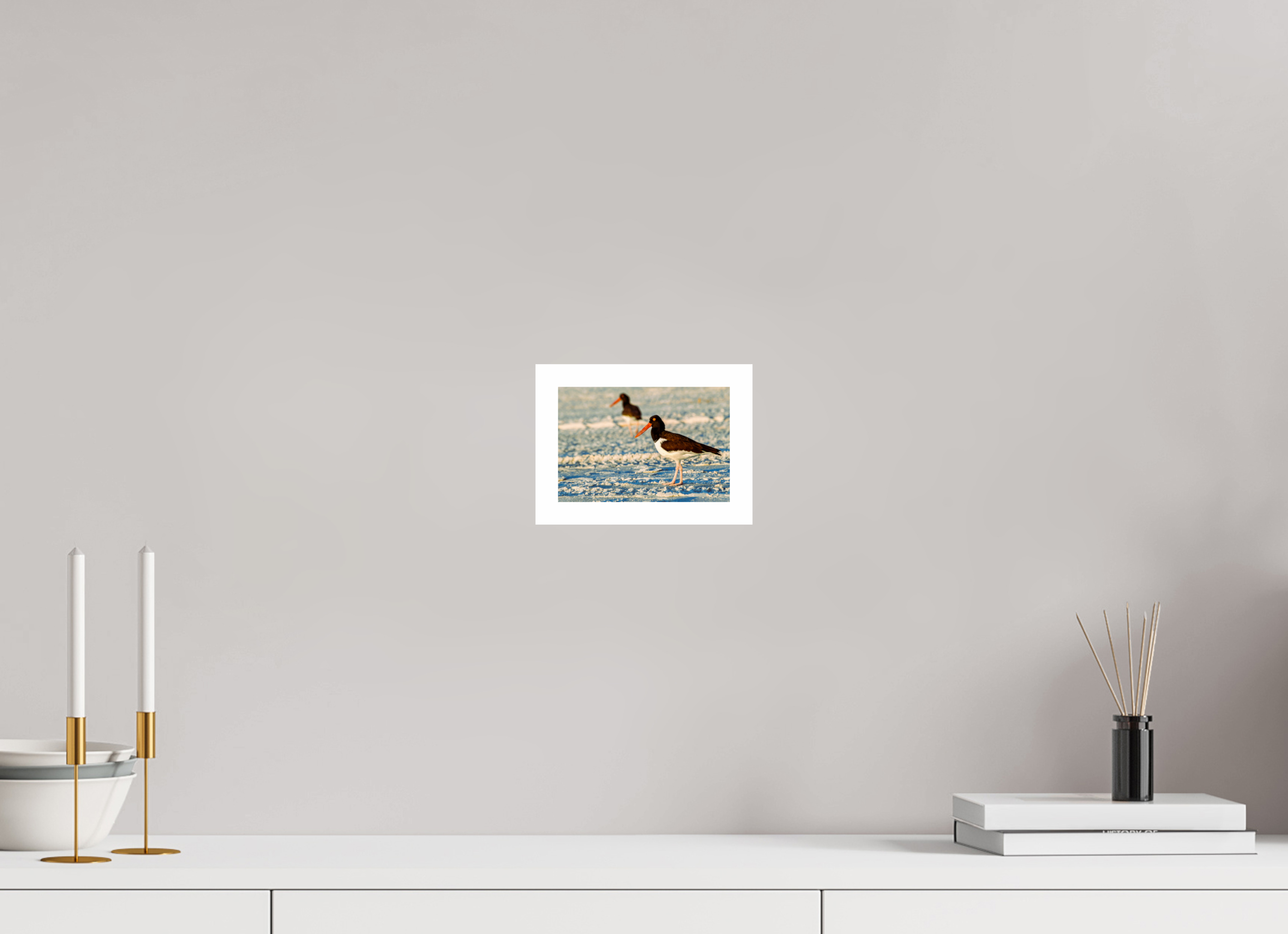 6 x 4″, Hahnemühle FineArt Pearl Print, .79" white border Oystercatcher Stroll