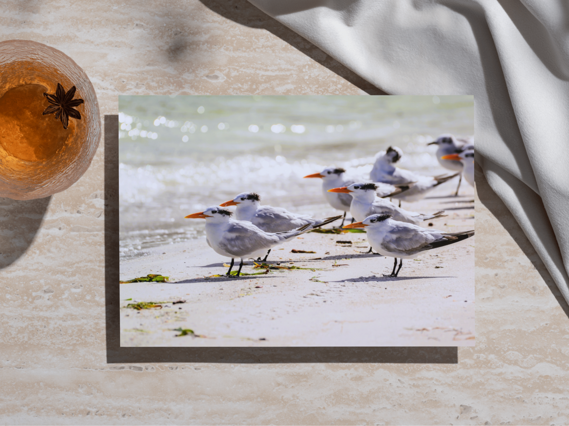 8fe8ee93-33d3-4410-aad5-34e65a88108a