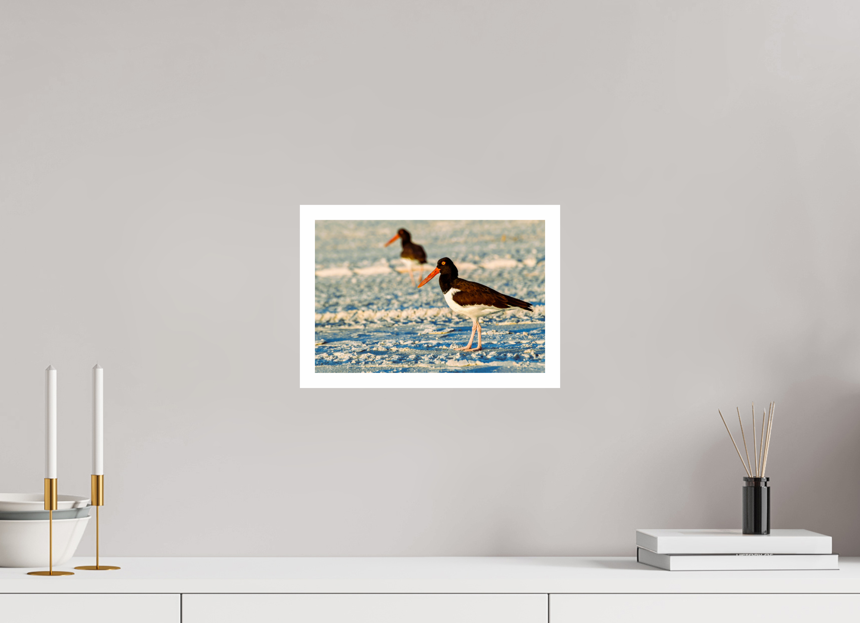 12 x 8″, Hahnemühle FineArt Pearl Print, .79" white border Oystercatcher Stroll