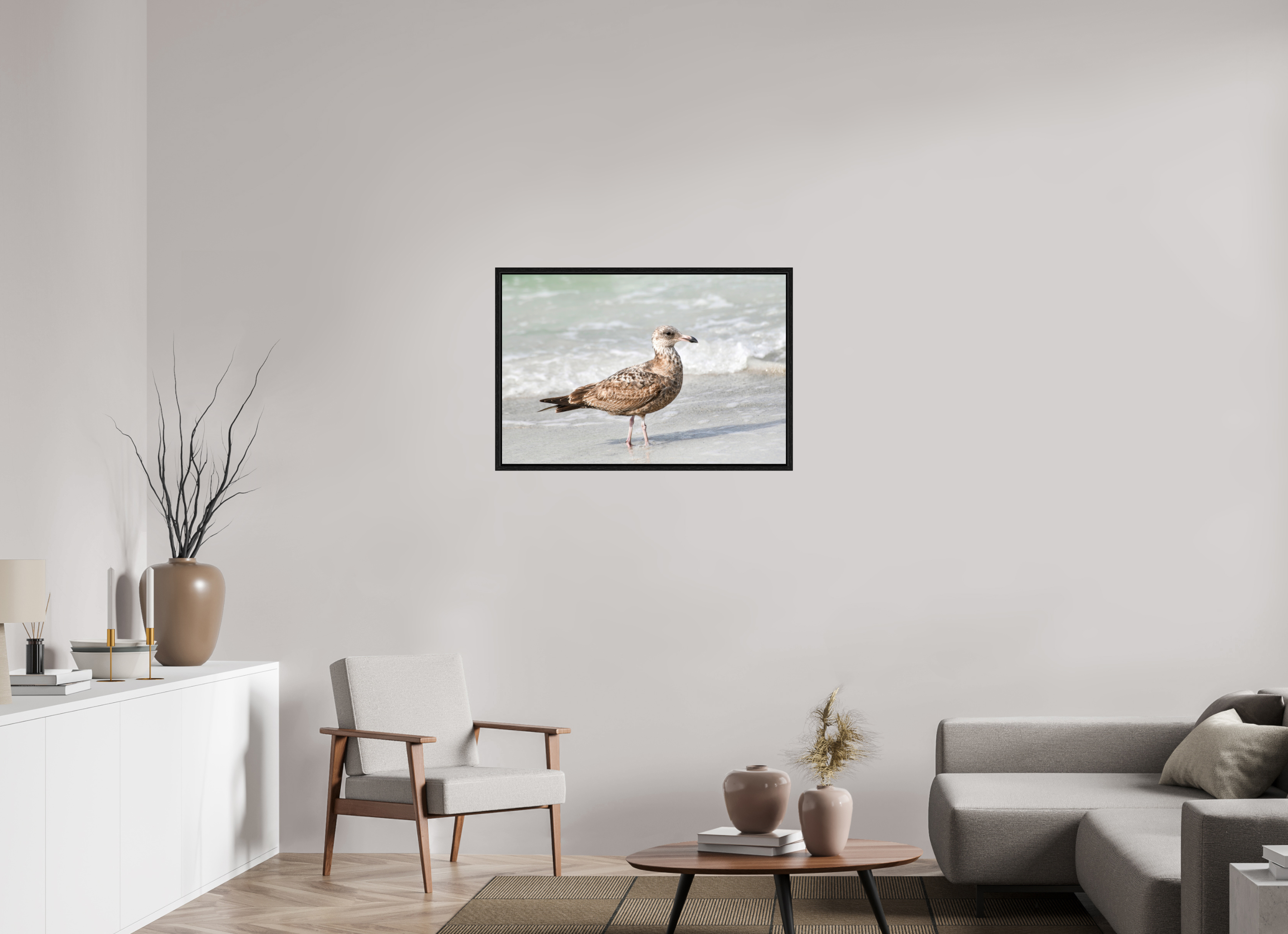 36 x 24″, Floater Frame, Basel 0.6", Black Oak, Glossy Acrylic Glass The Young Explorer: Immature American Herring Gull