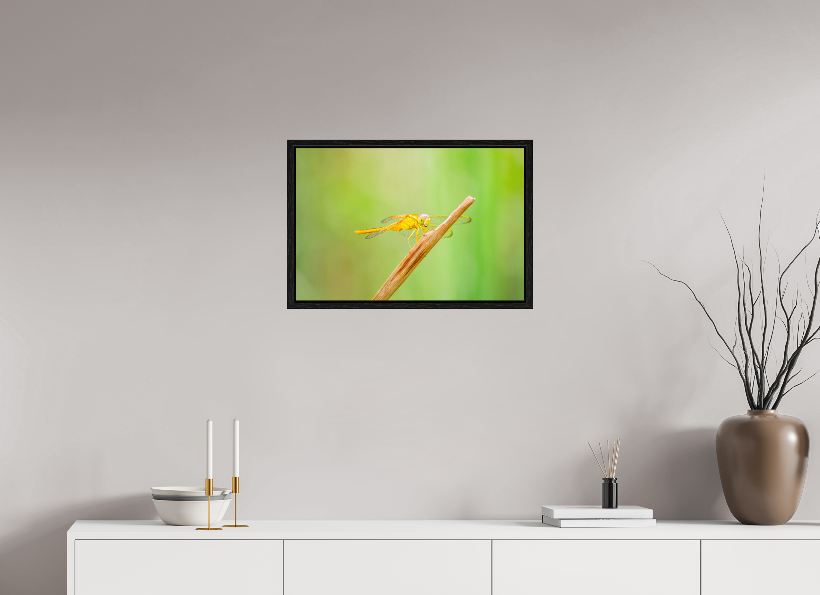 24 x 16″, Floater Frame, Basel 0.6", Black Oak, Glossy Acrylic Glass Sun-Drenched Golden Scarlet Skimmer