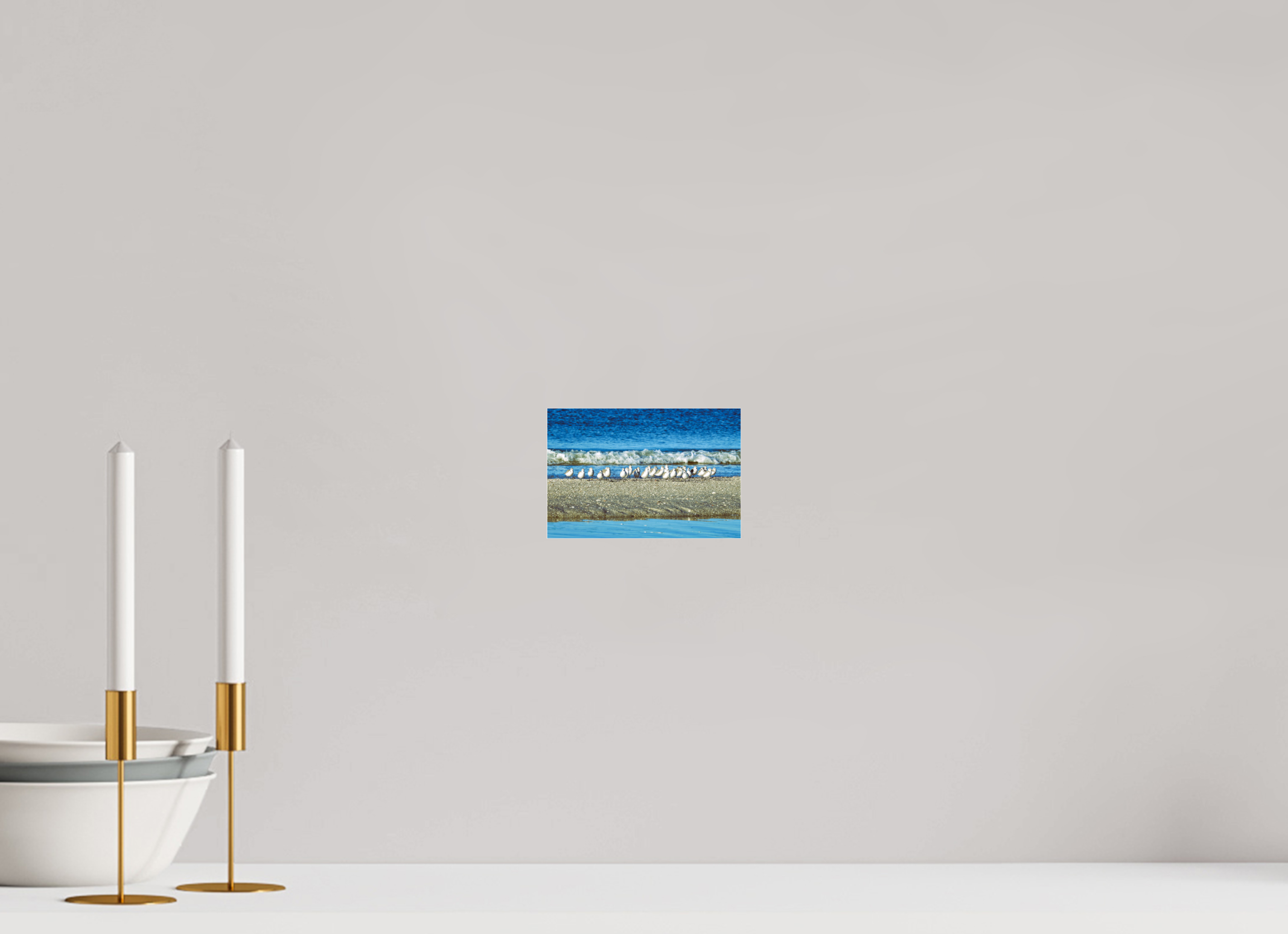 6 x 4″, Photo Print Fuji Crystal Archive Under Acrylic Glass Sanderlings on Standby