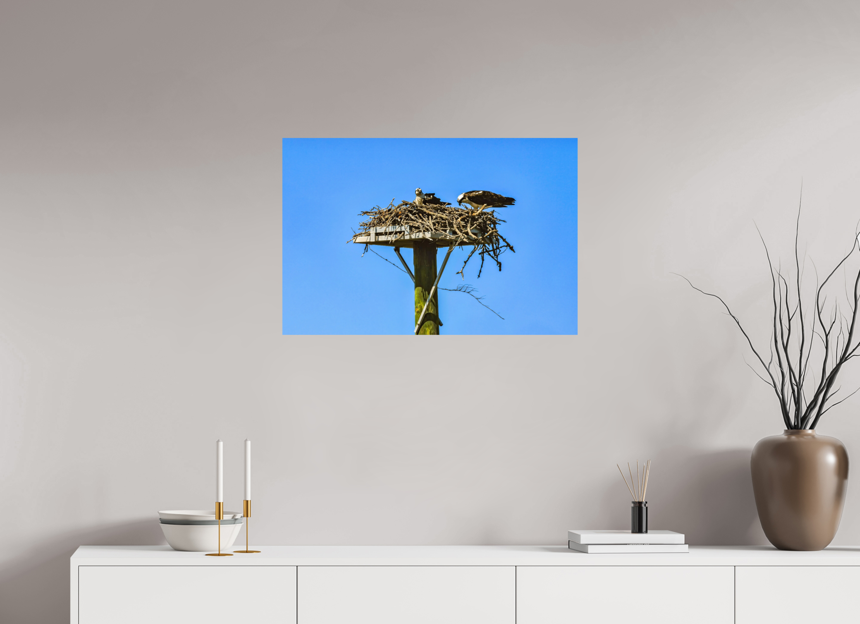 30 x 20″, Photo Print On Fuji Crystal DP II Osprey Outlook