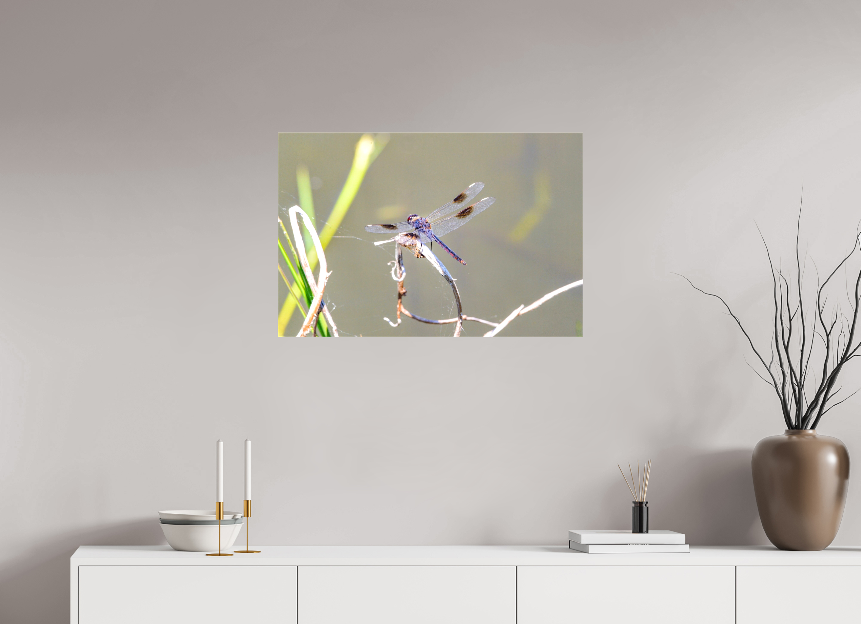 30 x 20″, Glossy Canvas on Stretcher Frame, 1,57" Wrapped Pennant Dragonfly in the Marsh