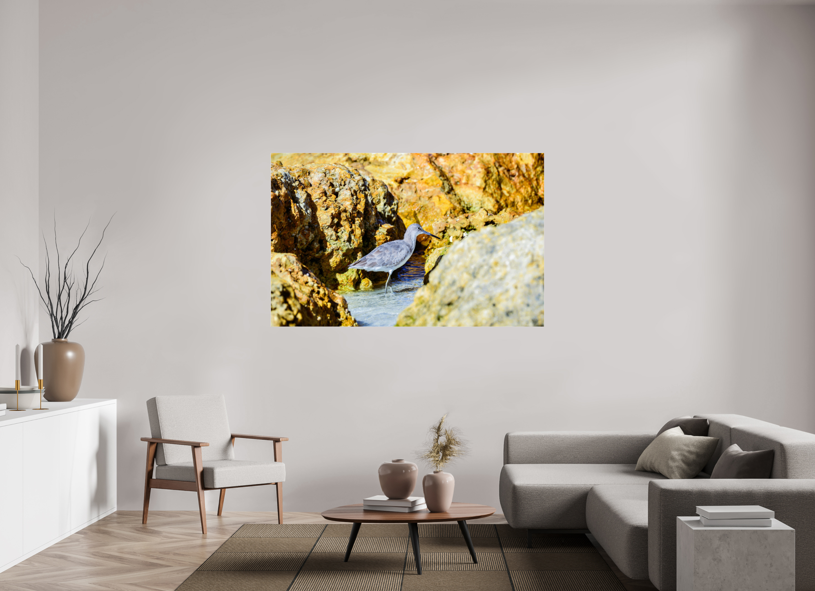 67.6 x 43″, Photo Print Under Acrylic Glass The Hiding Willet