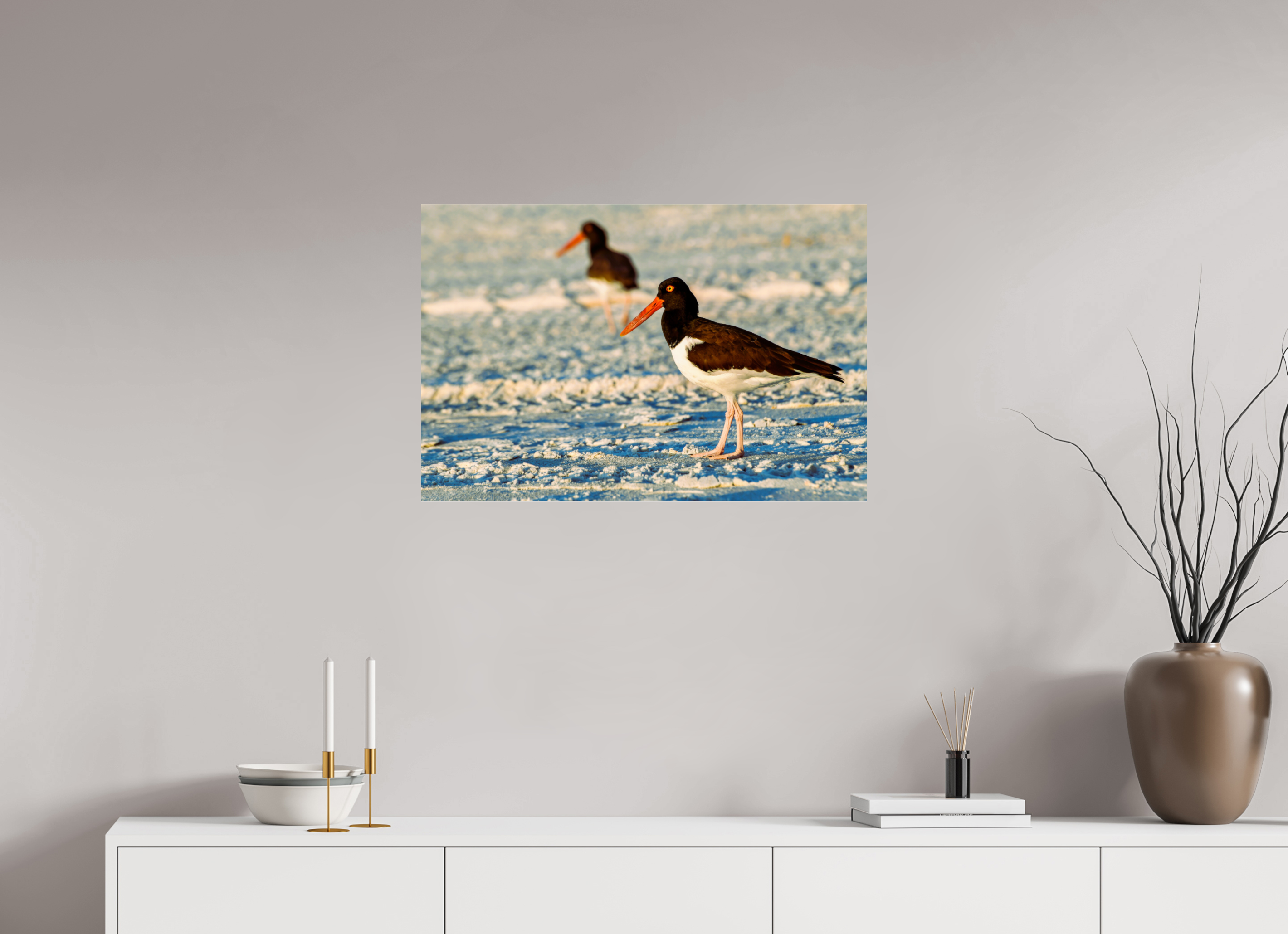 30 x 20″, Metallic Photo Print Under Acrylic Glass Oystercatcher Stroll