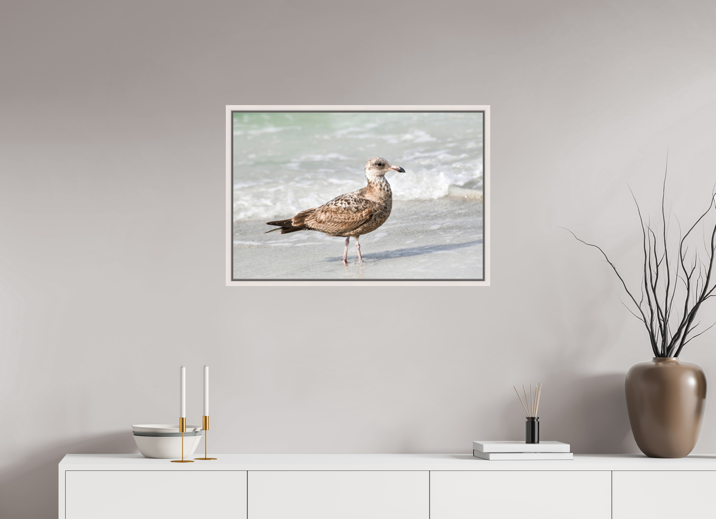30 x 20″, Floater Frame, Basel 0.6", Maple White, Glossy Acrylic Glass The Young Explorer: Immature American Herring Gull