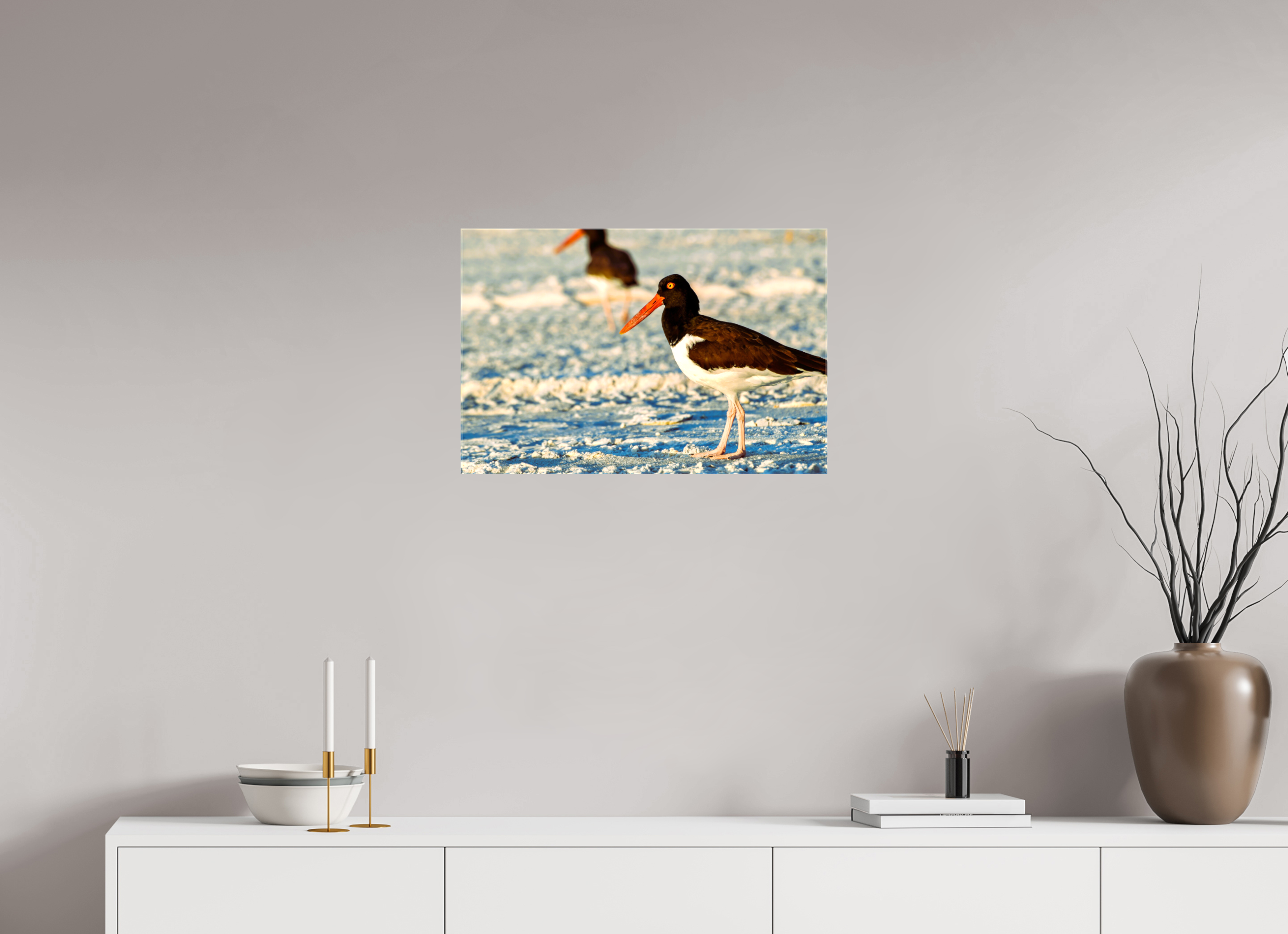 24 x 16″, Glossy Canvas on Stretcher Frame, 1,57" Wrapped Oystercatcher Stroll