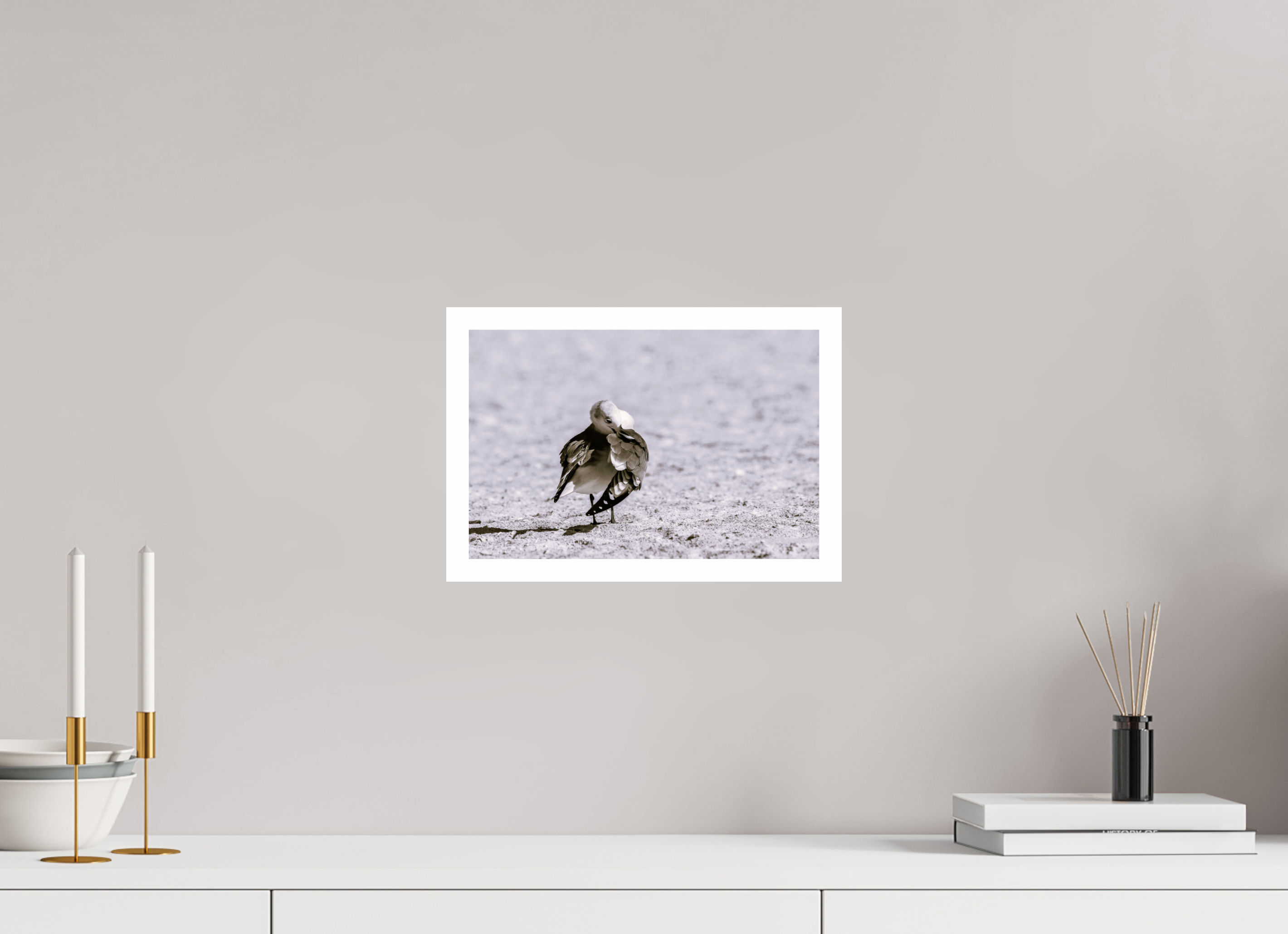 12.2 x 8″, Hahnemühle FineArt Pearl Print, .79" white border Preening Gull