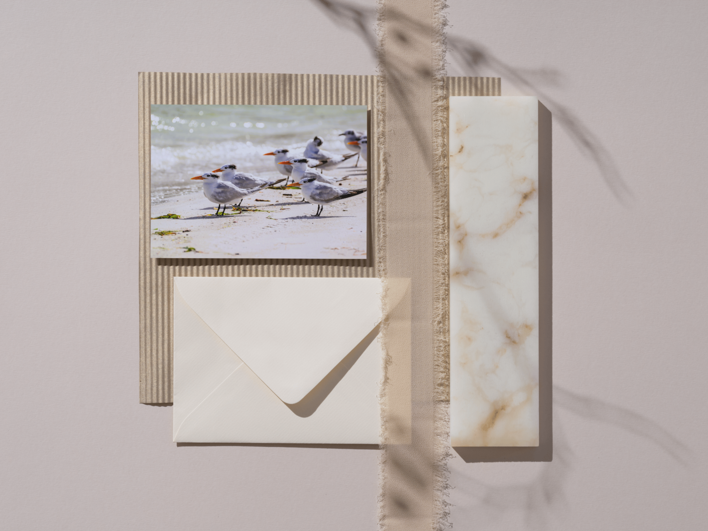 9667acd4-11a9-4277-99ea-68ca9dbddf62