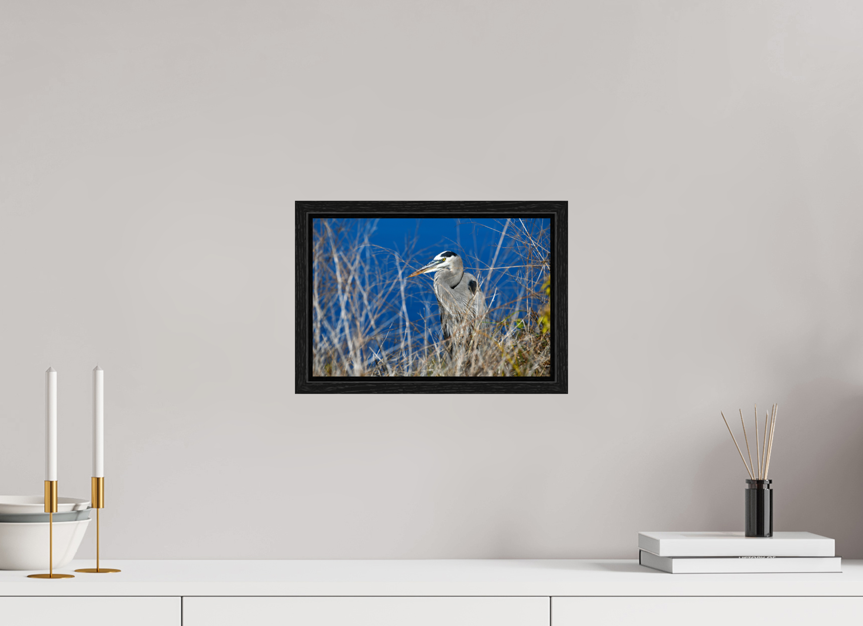 12 x 8″, Floater Frame, Basel 0.6", Black Oak, Glossy Acrylic Glass Hidden Majesty: Great Blue Heron