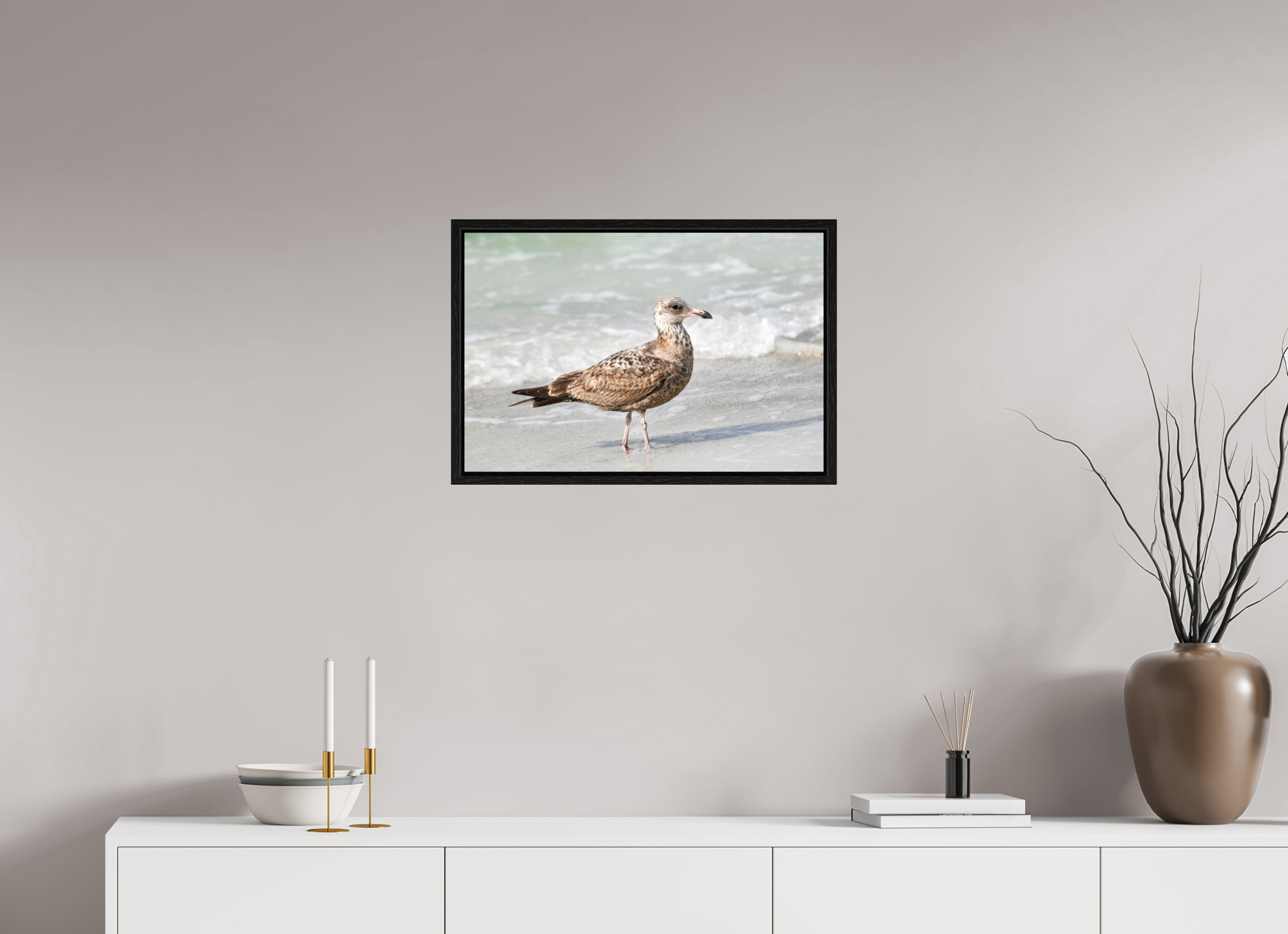 24 x 16″, Floater Frame, Basel 0.6", Black Oak, Glossy Acrylic Glass The Young Explorer: Immature American Herring Gull